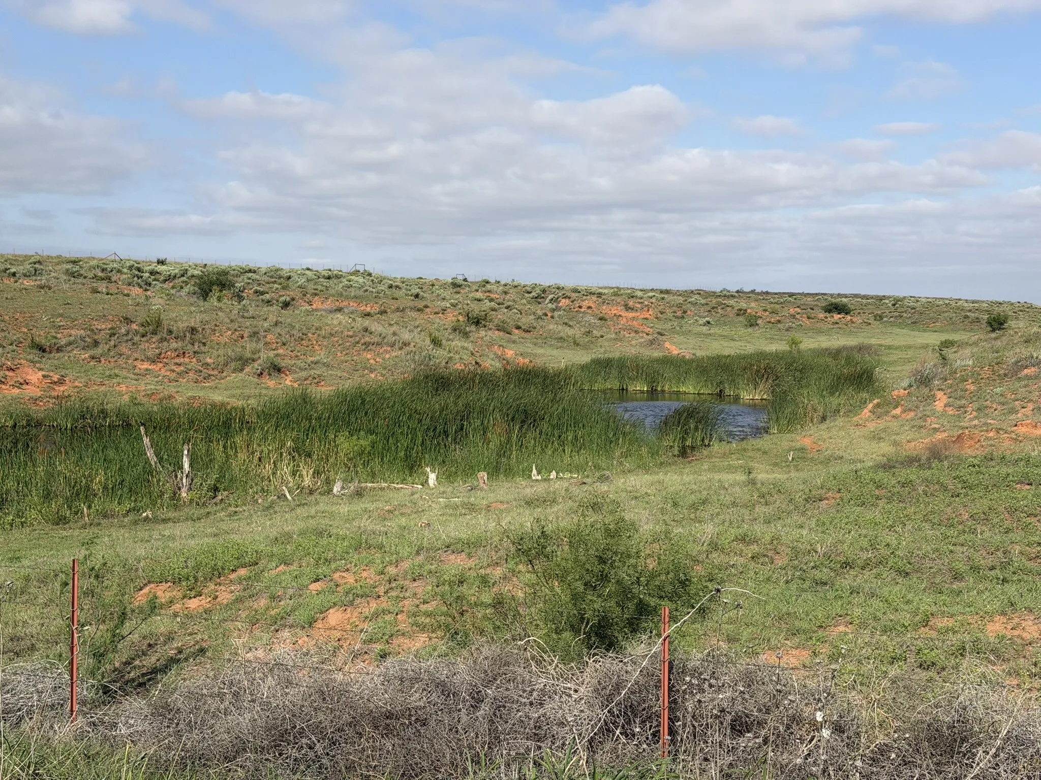 Ranch For Sale in Childress County , 15450 Farm to Market 2103, Childress, Texas 79201, 0, 0, Garage spaces, 0 Sqft, built in 0, Price $2,000,000, mls#21308762, Real Estate Agent in Childress, Homes For Sale in Childress county, Homes For Sale in Childress, Realtor in Childress Texas, Real Estate Brokerage Independent Realty Texas, Luminita Cordes Realtor