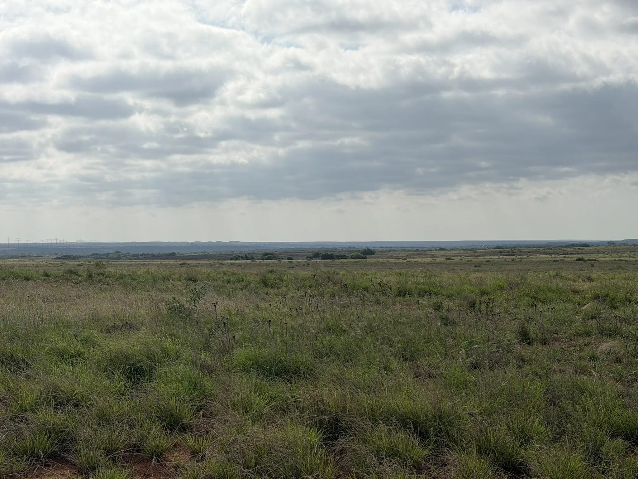 Ranch For Sale in Childress County , 15450 Farm to Market 2103, Childress, Texas 79201, 0, 0, Garage spaces, 0 Sqft, built in 0, Price $2,000,000, mls#21308762, Real Estate Agent in Childress, Homes For Sale in Childress county, Homes For Sale in Childress, Realtor in Childress Texas, Real Estate Brokerage Independent Realty Texas, Luminita Cordes Realtor