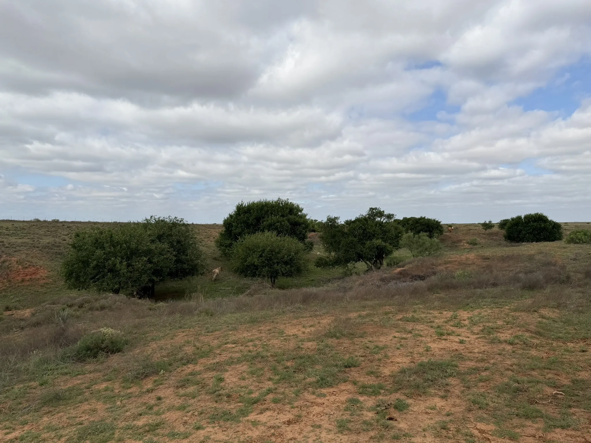 Ranch For Sale in Childress County , 15450 Farm to Market 2103, Childress, Texas 79201, 0, 0, Garage spaces, 0 Sqft, built in 0, Price $2,000,000, mls#21308762, Real Estate Agent in Childress, Homes For Sale in Childress county, Homes For Sale in Childress, Realtor in Childress Texas, Real Estate Brokerage Independent Realty Texas, Luminita Cordes Realtor