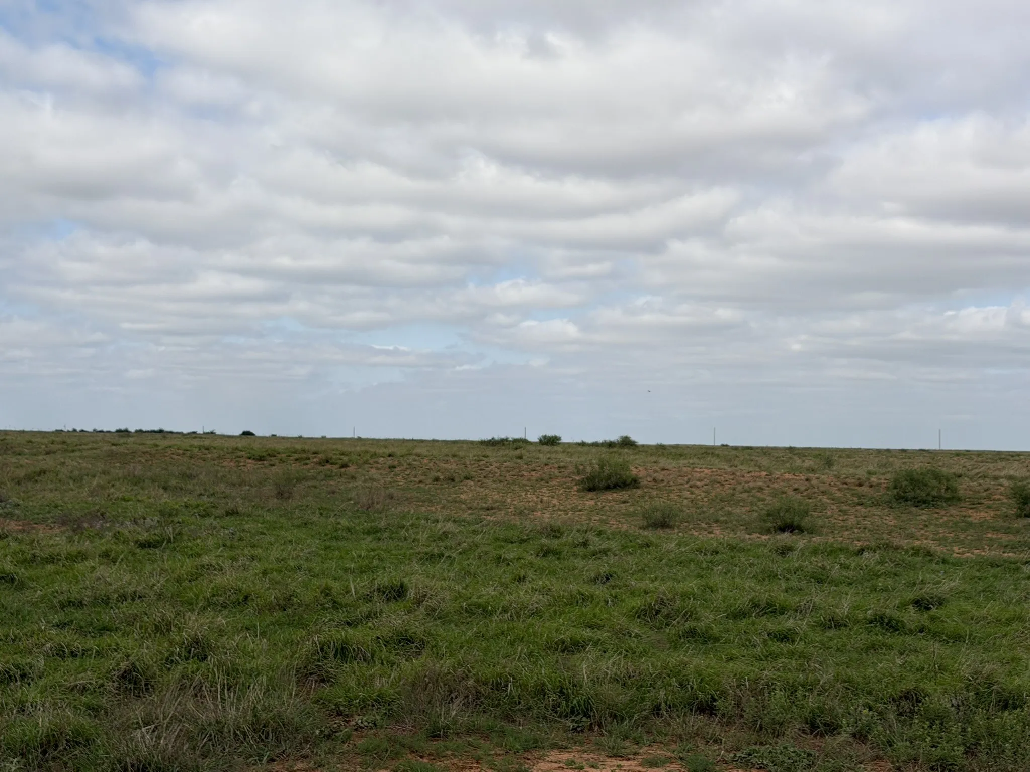 Ranch For Sale in Childress County , 15450 Farm to Market 2103, Childress, Texas 79201, 0, 0, Garage spaces, 0 Sqft, built in 0, Price $2,000,000, mls#21308762, Real Estate Agent in Childress, Homes For Sale in Childress county, Homes For Sale in Childress, Realtor in Childress Texas, Real Estate Brokerage Independent Realty Texas, Luminita Cordes Realtor