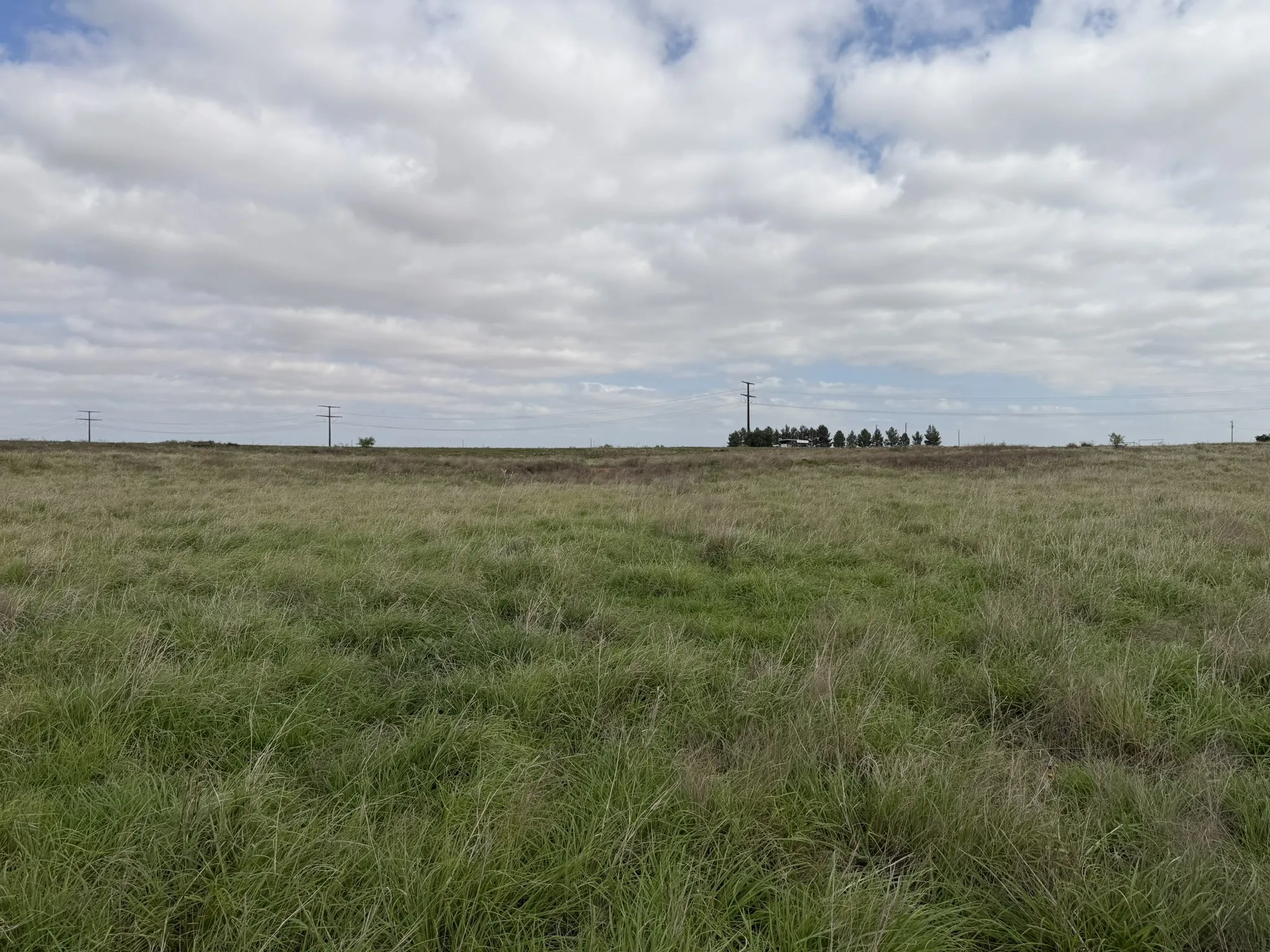 Ranch For Sale in Childress County , 15450 Farm to Market 2103, Childress, Texas 79201, 0, 0, Garage spaces, 0 Sqft, built in 0, Price $2,000,000, mls#21308762, Real Estate Agent in Childress, Homes For Sale in Childress county, Homes For Sale in Childress, Realtor in Childress Texas, Real Estate Brokerage Independent Realty Texas, Luminita Cordes Realtor