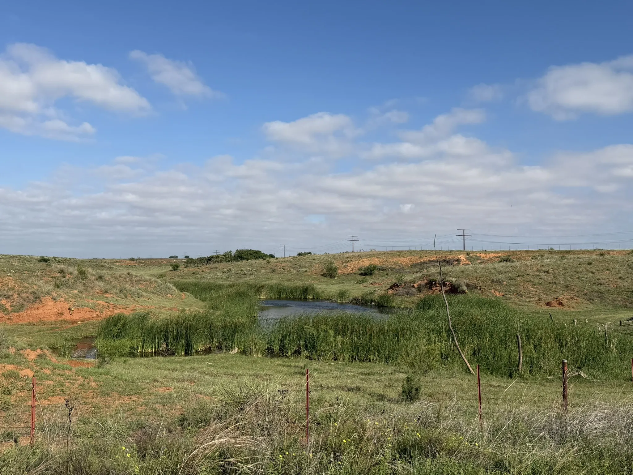 Ranch For Sale in Childress County , 15450 Farm to Market 2103, Childress, Texas 79201, 0, 0, Garage spaces, 0 Sqft, built in 0, Price $2,000,000, mls#21308762, Real Estate Agent in Childress, Homes For Sale in Childress county, Homes For Sale in Childress, Realtor in Childress Texas, Real Estate Brokerage Independent Realty Texas, Luminita Cordes Realtor