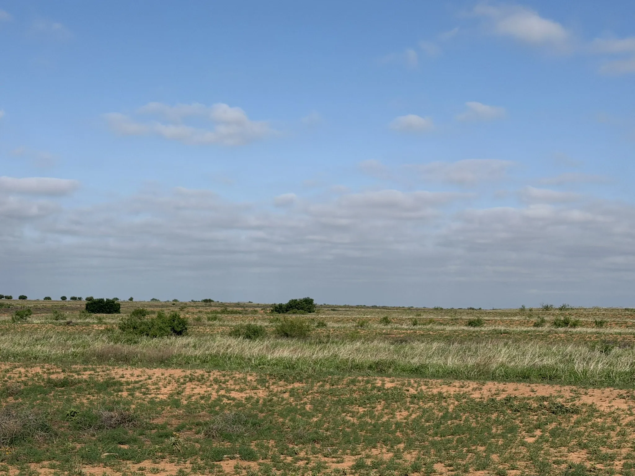 Ranch For Sale in Childress County , 15450 Farm to Market 2103, Childress, Texas 79201, 0, 0, Garage spaces, 0 Sqft, built in 0, Price $2,000,000, mls#21308762, Real Estate Agent in Childress, Homes For Sale in Childress county, Homes For Sale in Childress, Realtor in Childress Texas, Real Estate Brokerage Independent Realty Texas, Luminita Cordes Realtor