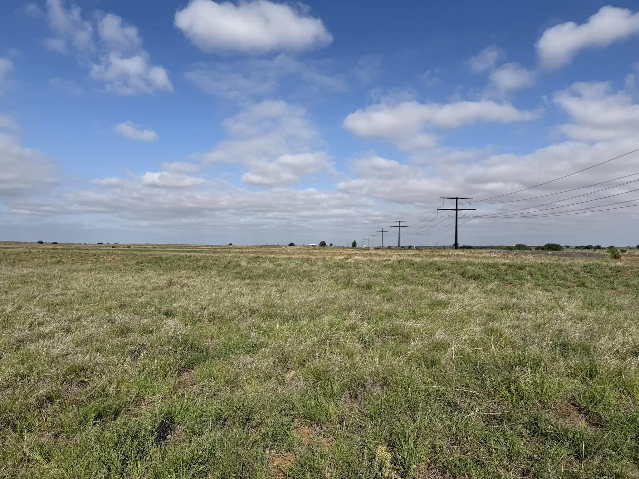 Ranch For Sale in Childress County , 15450 Farm to Market 2103, Childress, Texas 79201, 0, 0, Garage spaces, 0 Sqft, built in 0, Price $2,000,000, mls#21308762, Real Estate Agent in Childress, Homes For Sale in Childress county, Homes For Sale in Childress, Realtor in Childress Texas, Real Estate Brokerage Independent Realty Texas, Luminita Cordes Realtor