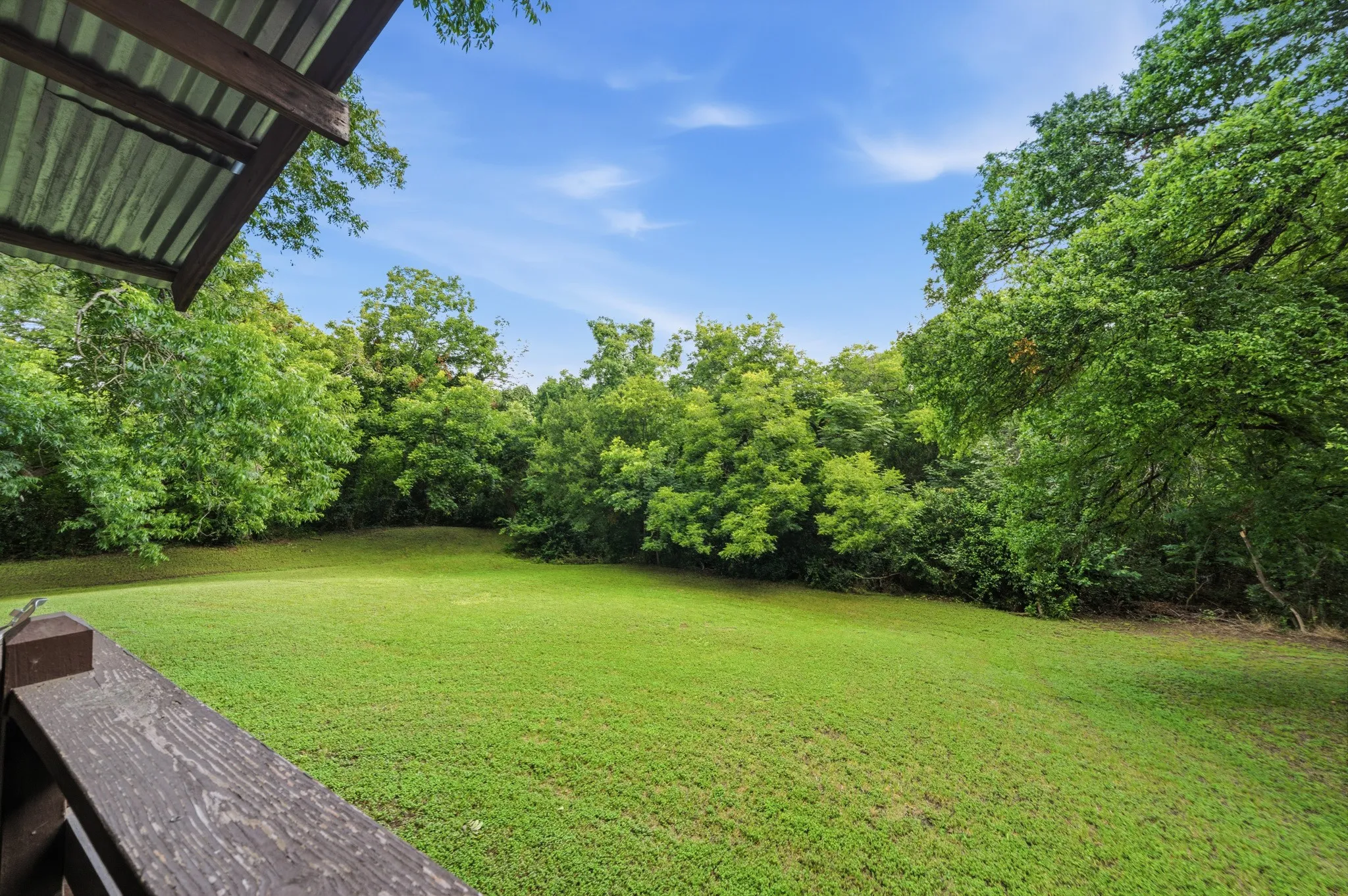 Backyard