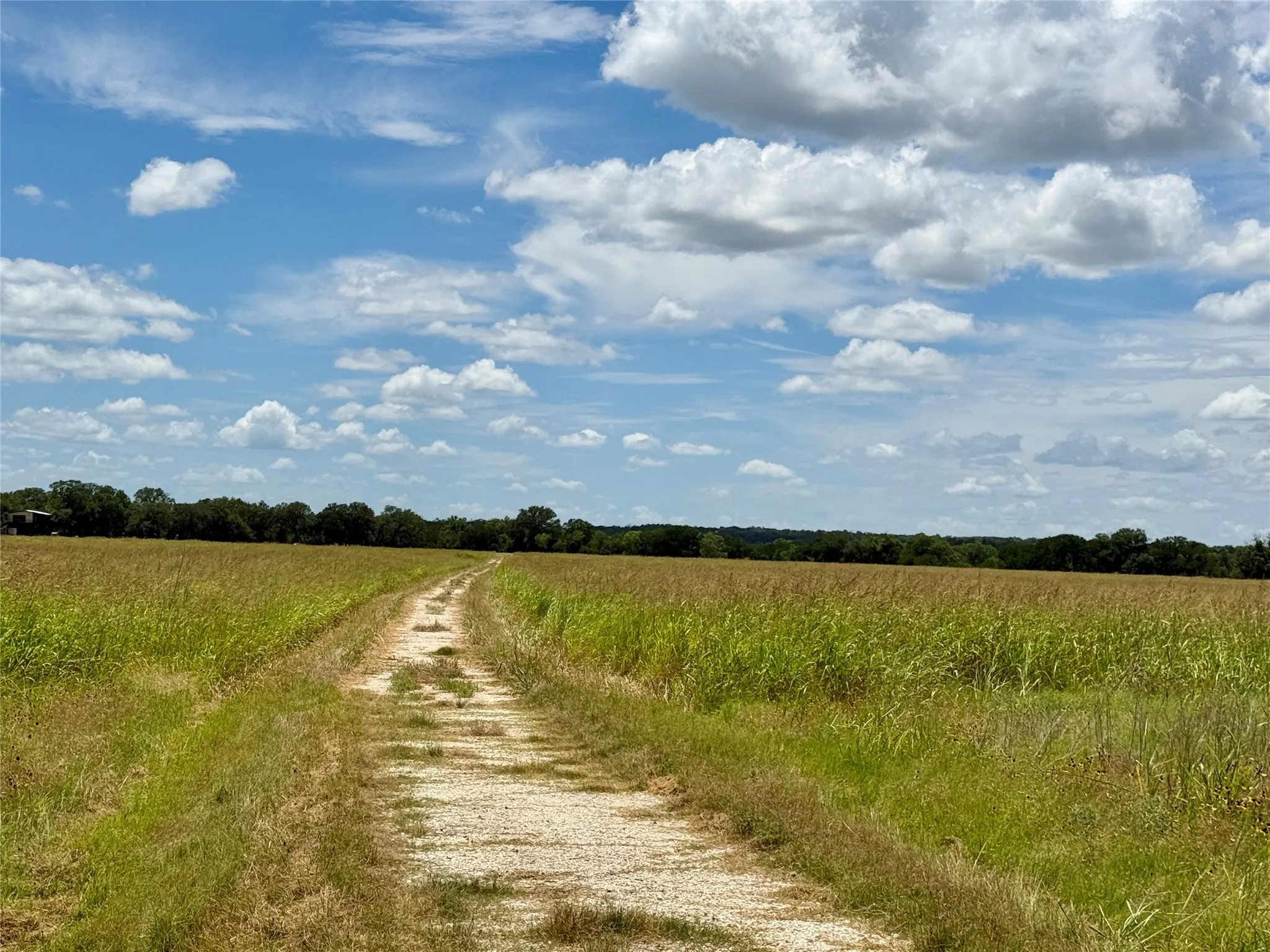 Unimproved Land For Sale in Mills County , 580 S 430, Mullin, Texas 76864, 0, 0, Garage spaces, 0 Sqft, built in 0, mls#21308839, Real Estate Agent in Mullin, Homes For Sale in Mills county, Homes For Sale in Mullin, Realtor in Mullin Texas, Real Estate Brokerage Independent Realty Texas, Luminita Cordes Realtor