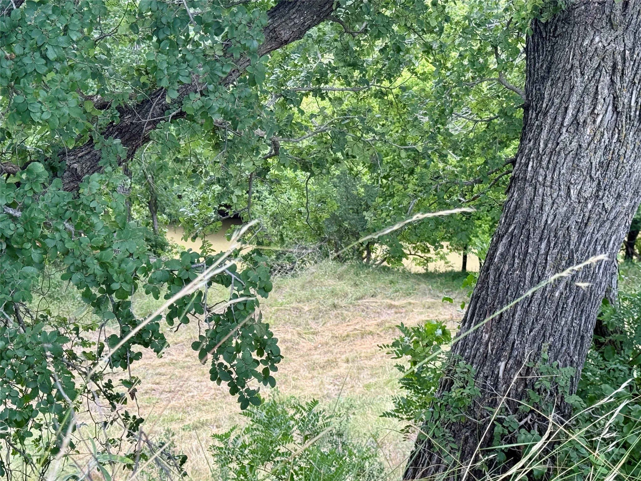 Unimproved Land For Sale in Mills County , 580 S 430, Mullin, Texas 76864, 0, 0, Garage spaces, 0 Sqft, built in 0, mls#21308839, Real Estate Agent in Mullin, Homes For Sale in Mills county, Homes For Sale in Mullin, Realtor in Mullin Texas, Real Estate Brokerage Independent Realty Texas, Luminita Cordes Realtor