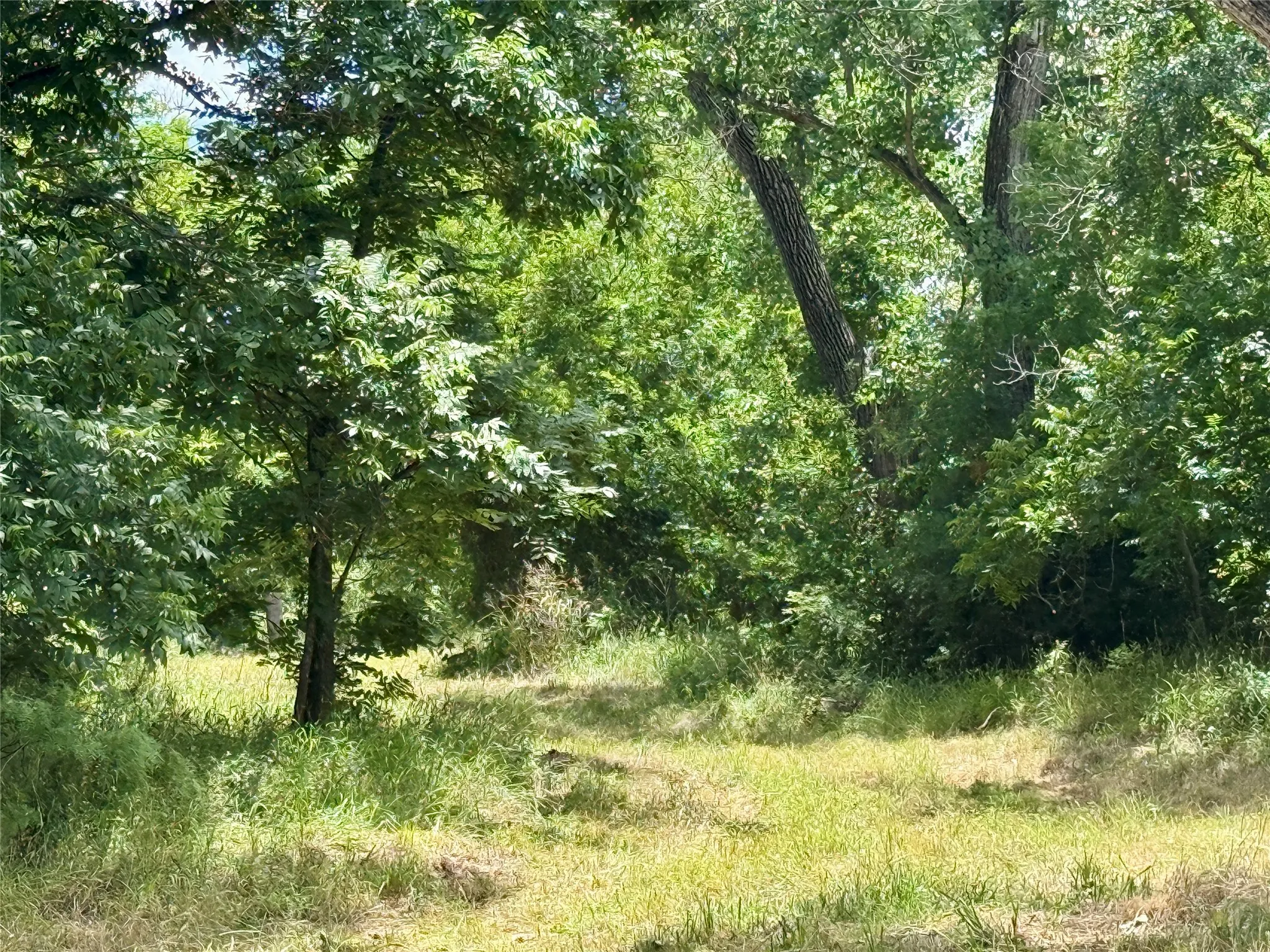 Unimproved Land For Sale in Mills County , 580 S 430, Mullin, Texas 76864, 0, 0, Garage spaces, 0 Sqft, built in 0, mls#21308839, Real Estate Agent in Mullin, Homes For Sale in Mills county, Homes For Sale in Mullin, Realtor in Mullin Texas, Real Estate Brokerage Independent Realty Texas, Luminita Cordes Realtor