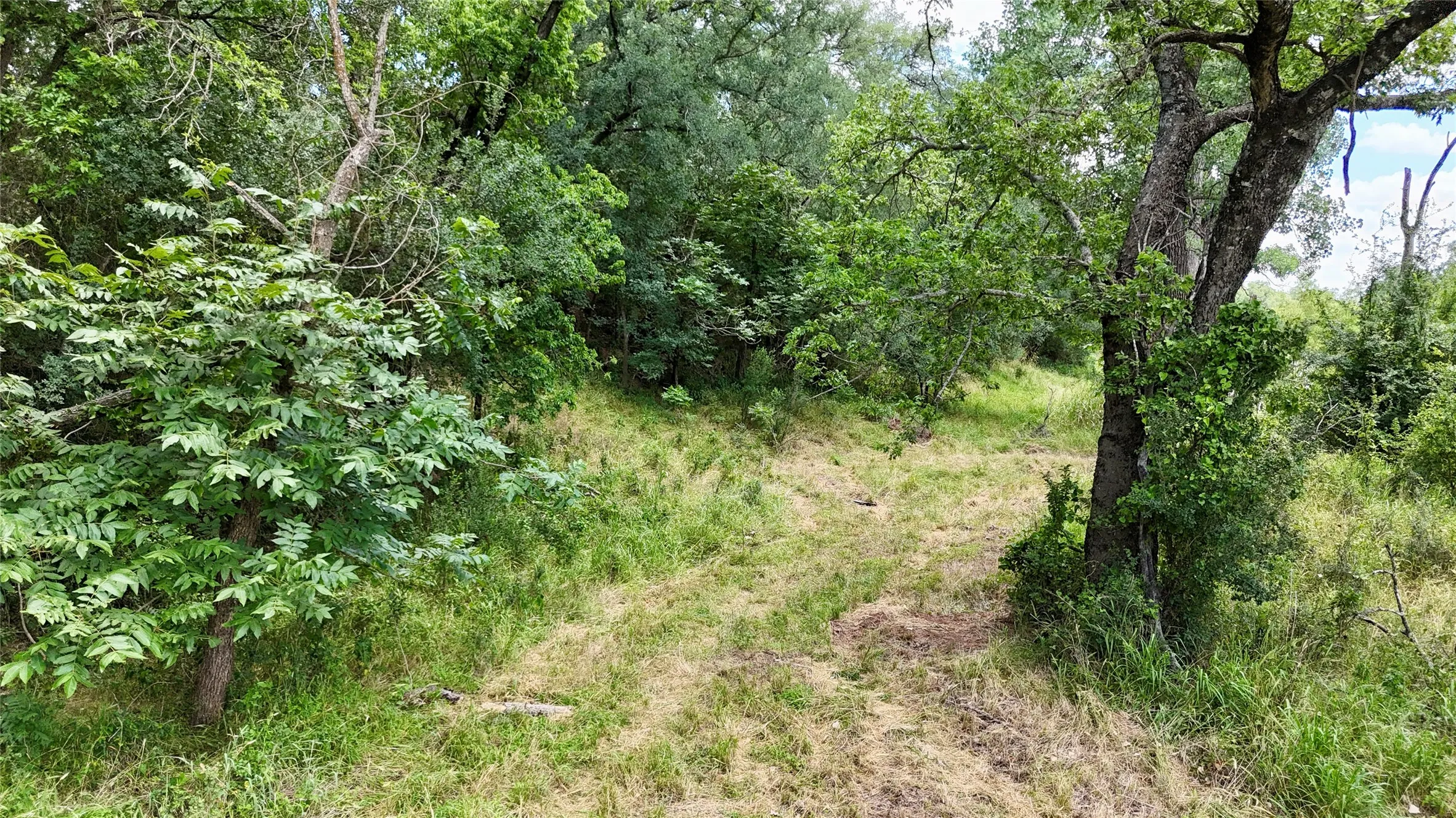Unimproved Land For Sale in Mills County , 580 S 430, Mullin, Texas 76864, 0, 0, Garage spaces, 0 Sqft, built in 0, mls#21308839, Real Estate Agent in Mullin, Homes For Sale in Mills county, Homes For Sale in Mullin, Realtor in Mullin Texas, Real Estate Brokerage Independent Realty Texas, Luminita Cordes Realtor