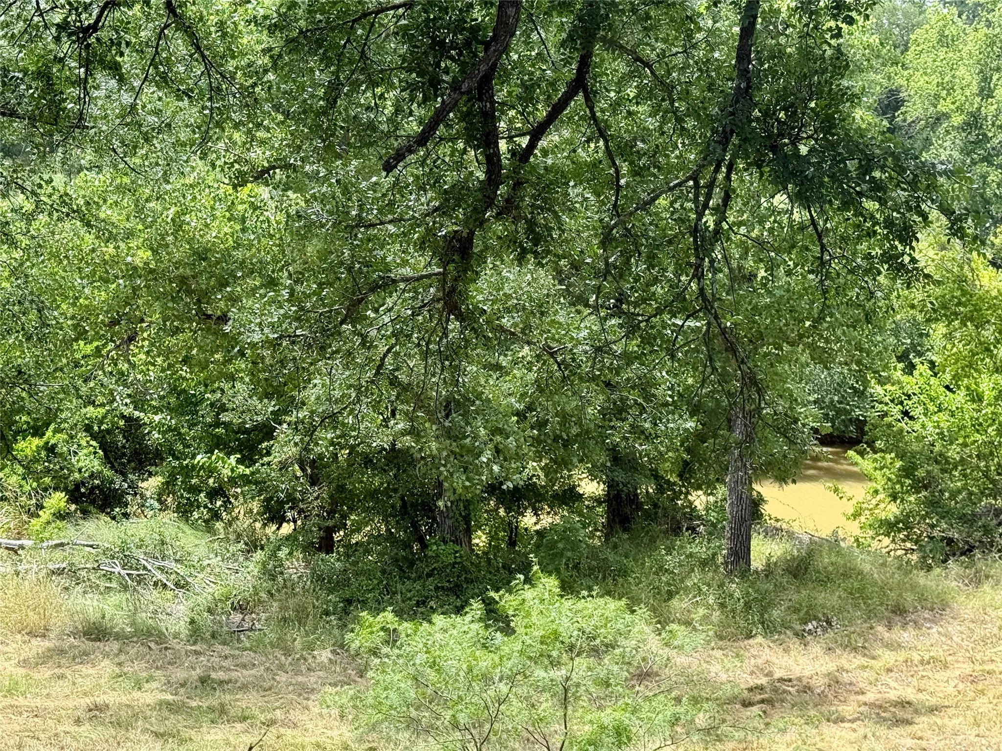 Unimproved Land For Sale in Mills County , 580 S 430, Mullin, Texas 76864, 0, 0, Garage spaces, 0 Sqft, built in 0, mls#21308839, Real Estate Agent in Mullin, Homes For Sale in Mills county, Homes For Sale in Mullin, Realtor in Mullin Texas, Real Estate Brokerage Independent Realty Texas, Luminita Cordes Realtor