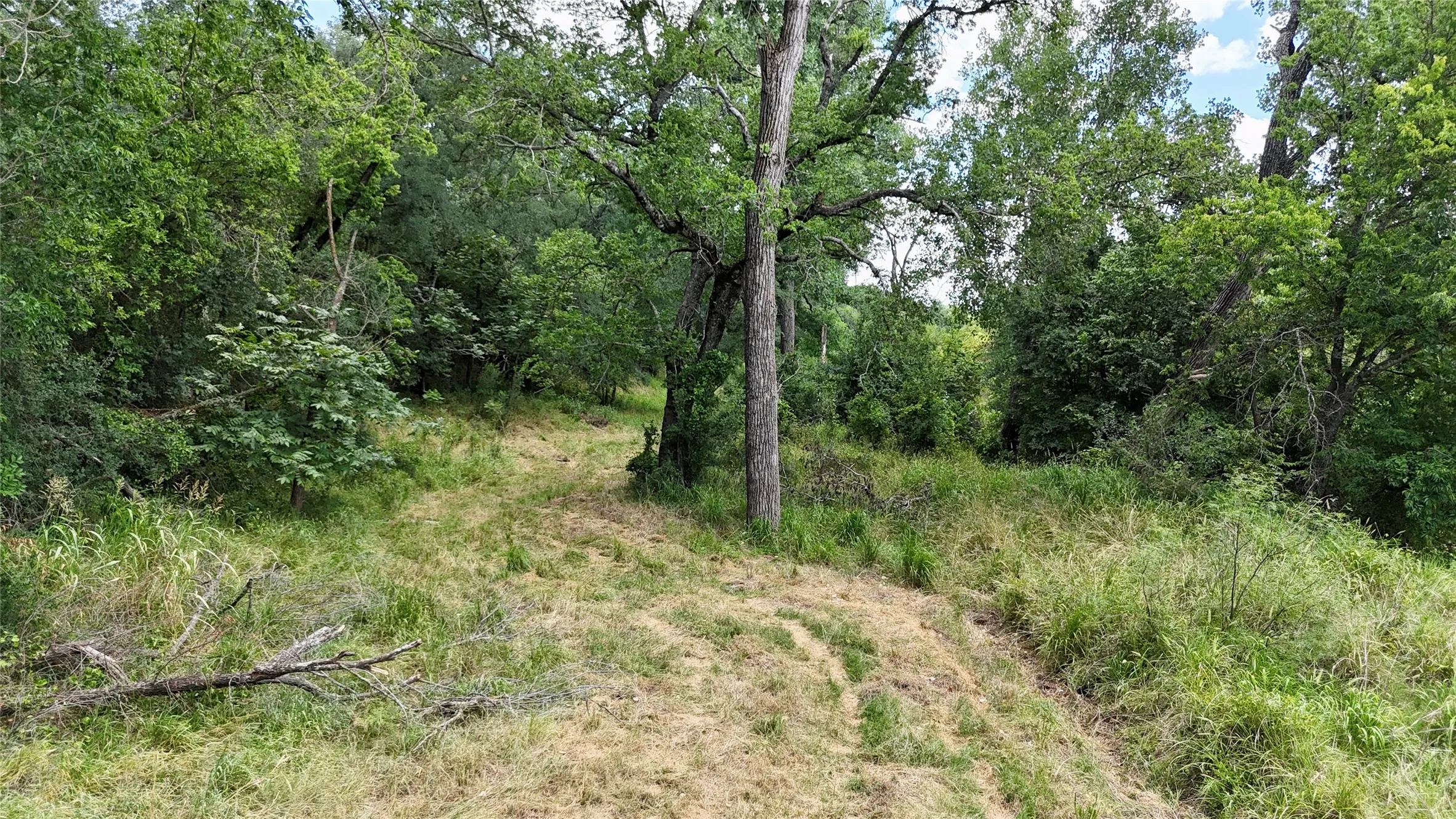 Unimproved Land For Sale in Mills County , 580 S 430, Mullin, Texas 76864, 0, 0, Garage spaces, 0 Sqft, built in 0, mls#21308839, Real Estate Agent in Mullin, Homes For Sale in Mills county, Homes For Sale in Mullin, Realtor in Mullin Texas, Real Estate Brokerage Independent Realty Texas, Luminita Cordes Realtor