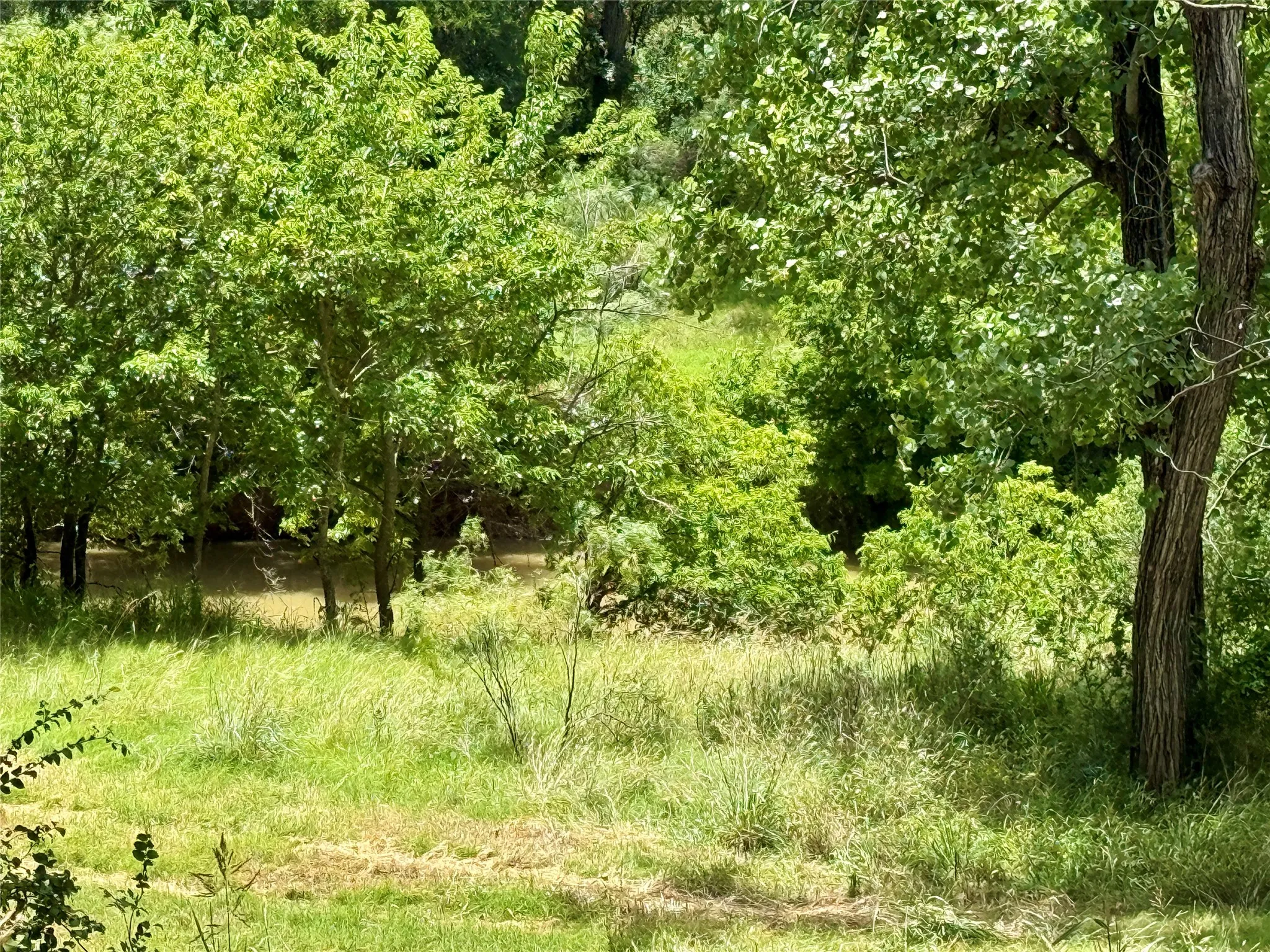 Unimproved Land For Sale in Mills County , 580 S 430, Mullin, Texas 76864, 0, 0, Garage spaces, 0 Sqft, built in 0, mls#21308839, Real Estate Agent in Mullin, Homes For Sale in Mills county, Homes For Sale in Mullin, Realtor in Mullin Texas, Real Estate Brokerage Independent Realty Texas, Luminita Cordes Realtor