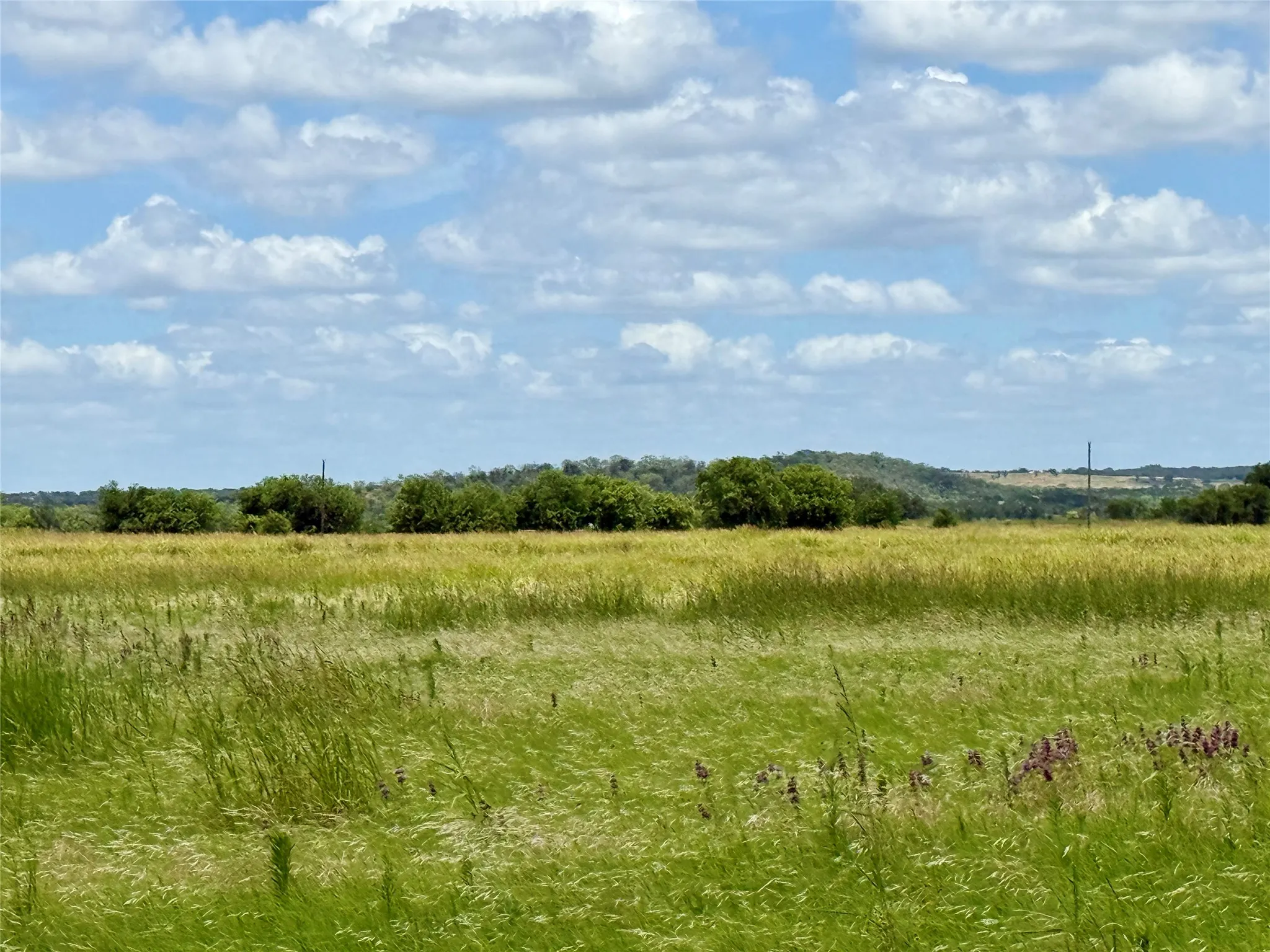 Unimproved Land For Sale in Mills County , 580 S 430, Mullin, Texas 76864, 0, 0, Garage spaces, 0 Sqft, built in 0, mls#21308839, Real Estate Agent in Mullin, Homes For Sale in Mills county, Homes For Sale in Mullin, Realtor in Mullin Texas, Real Estate Brokerage Independent Realty Texas, Luminita Cordes Realtor
