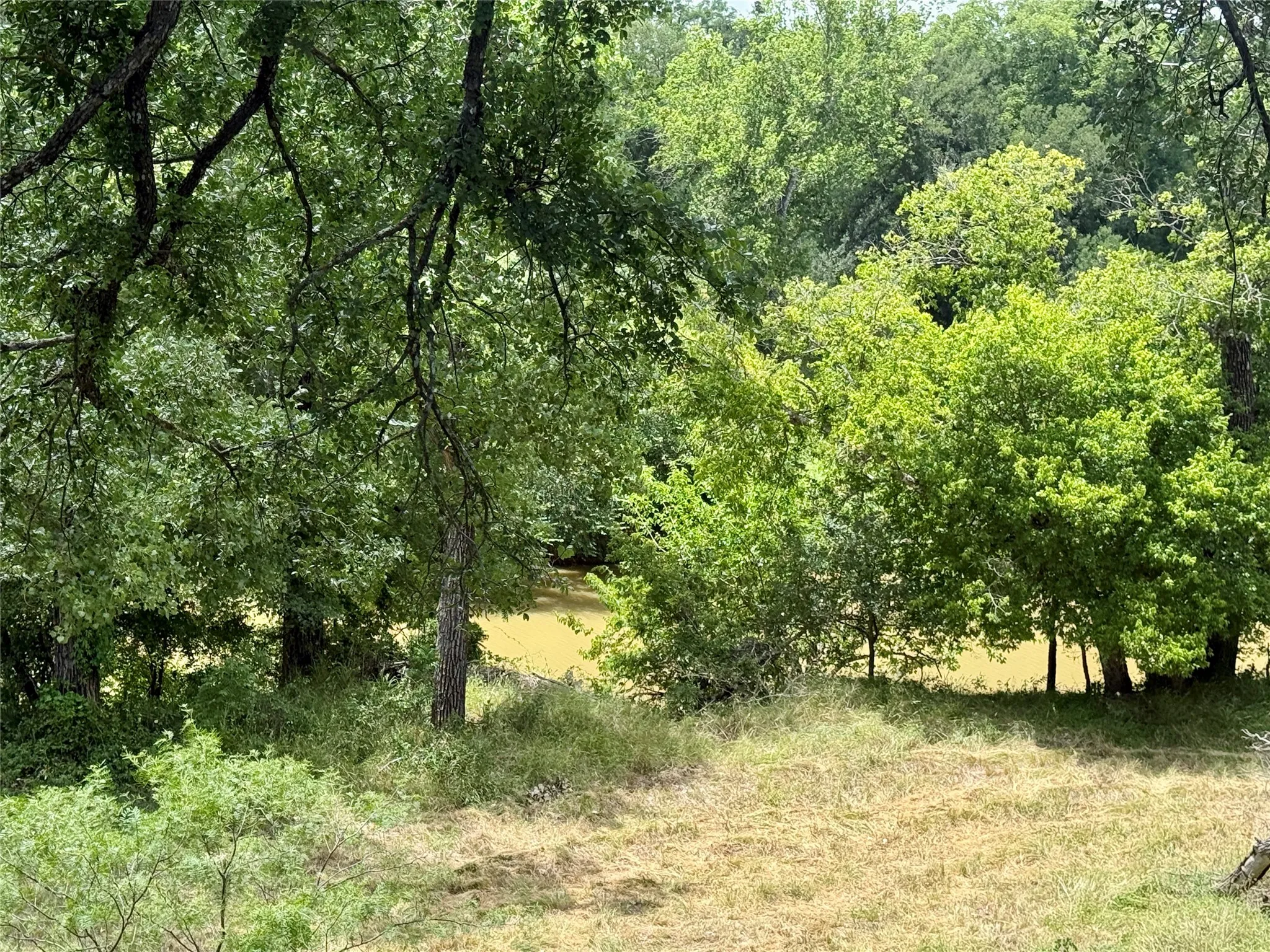 Unimproved Land For Sale in Mills County , 580 S 430, Mullin, Texas 76864, 0, 0, Garage spaces, 0 Sqft, built in 0, mls#21308839, Real Estate Agent in Mullin, Homes For Sale in Mills county, Homes For Sale in Mullin, Realtor in Mullin Texas, Real Estate Brokerage Independent Realty Texas, Luminita Cordes Realtor