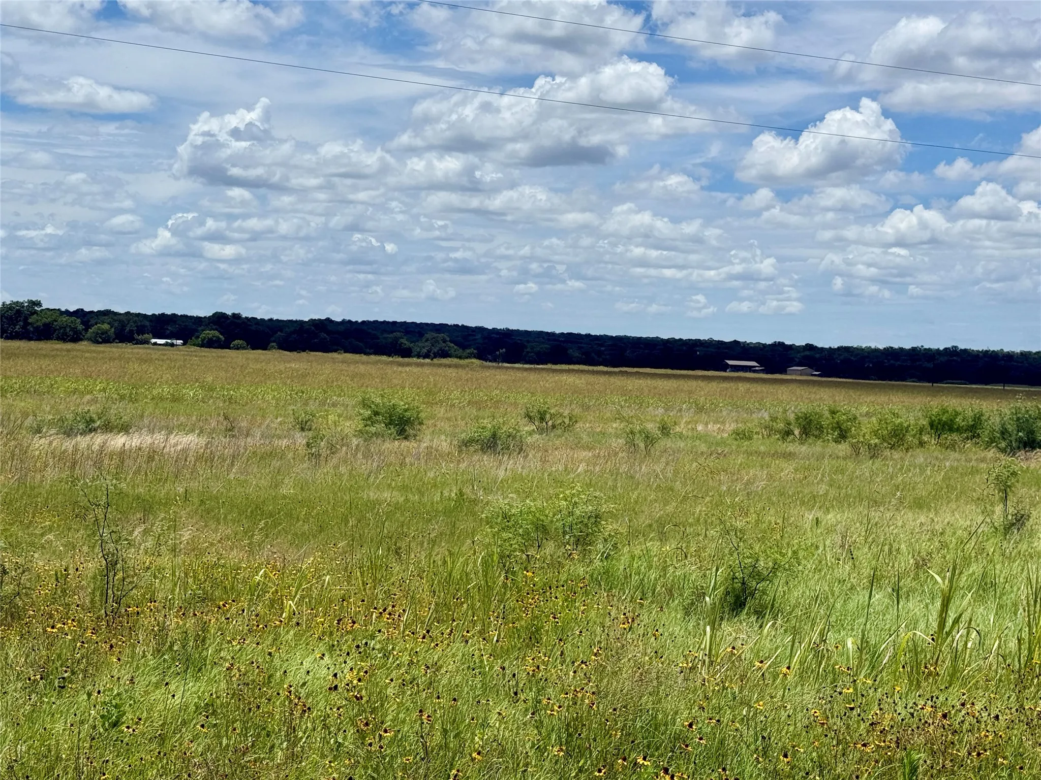 Unimproved Land For Sale in Mills County , 580 S 430, Mullin, Texas 76864, 0, 0, Garage spaces, 0 Sqft, built in 0, mls#21308839, Real Estate Agent in Mullin, Homes For Sale in Mills county, Homes For Sale in Mullin, Realtor in Mullin Texas, Real Estate Brokerage Independent Realty Texas, Luminita Cordes Realtor