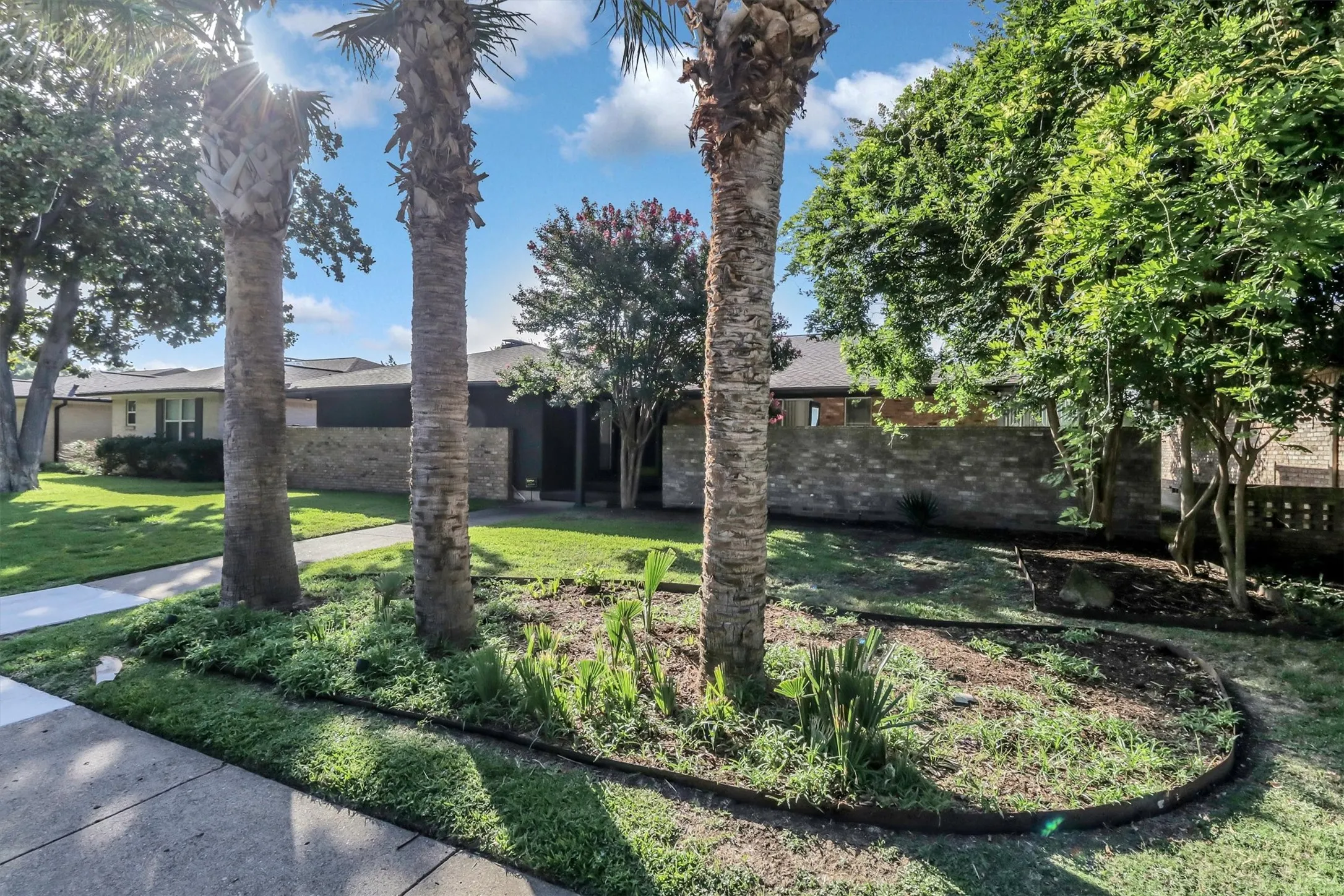 Front yard featuring mature palm trees and established landscaping beds
