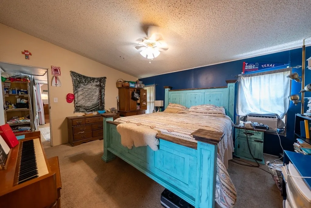 Carpeted room featuring a ceiling fan, sloped ceiling, and multiple windows with window treatments