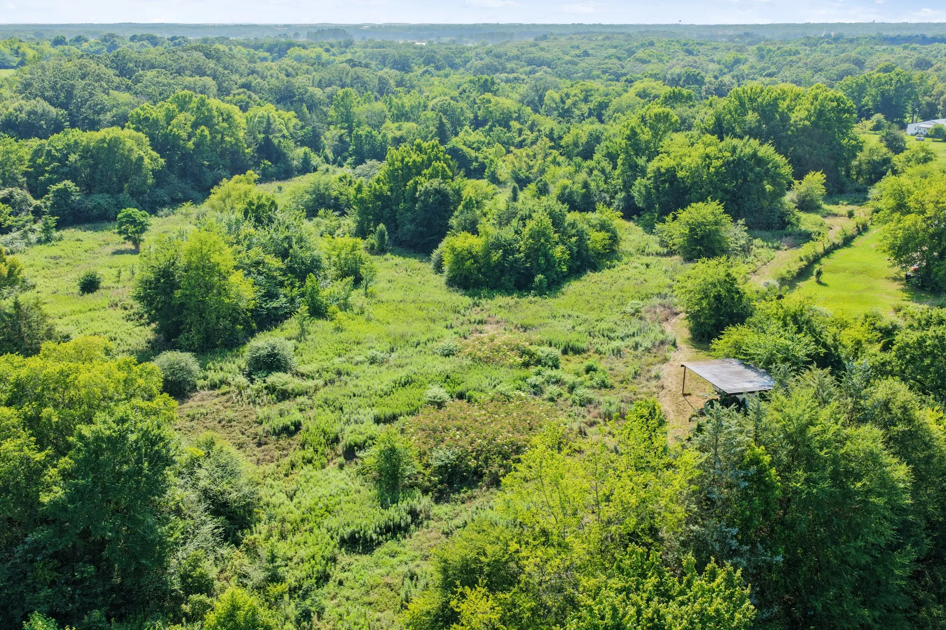 Unimproved Land For Sale in Titus County , 574 FM 1735, Mt Pleasant, Texas 75455, 0, 0, Garage spaces, 0 Sqft, built in 0, Price $249,900, mls#21309034, Real Estate Agent in Mt Pleasant, Homes For Sale in Titus county, Homes For Sale in Mt Pleasant, Realtor in Mt Pleasant Texas, Real Estate Brokerage Independent Realty Texas, Luminita Cordes Realtor