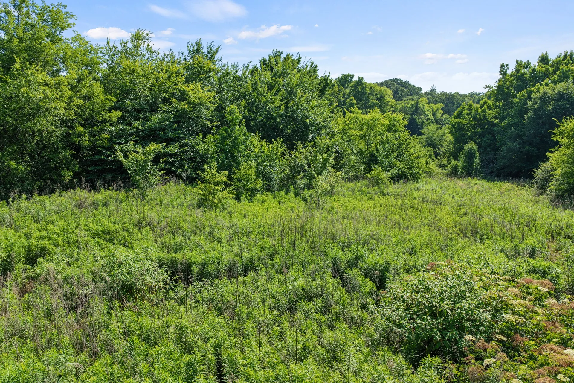 Unimproved Land For Sale in Titus County , 574 FM 1735, Mt Pleasant, Texas 75455, 0, 0, Garage spaces, 0 Sqft, built in 0, Price $249,900, mls#21309034, Real Estate Agent in Mt Pleasant, Homes For Sale in Titus county, Homes For Sale in Mt Pleasant, Realtor in Mt Pleasant Texas, Real Estate Brokerage Independent Realty Texas, Luminita Cordes Realtor