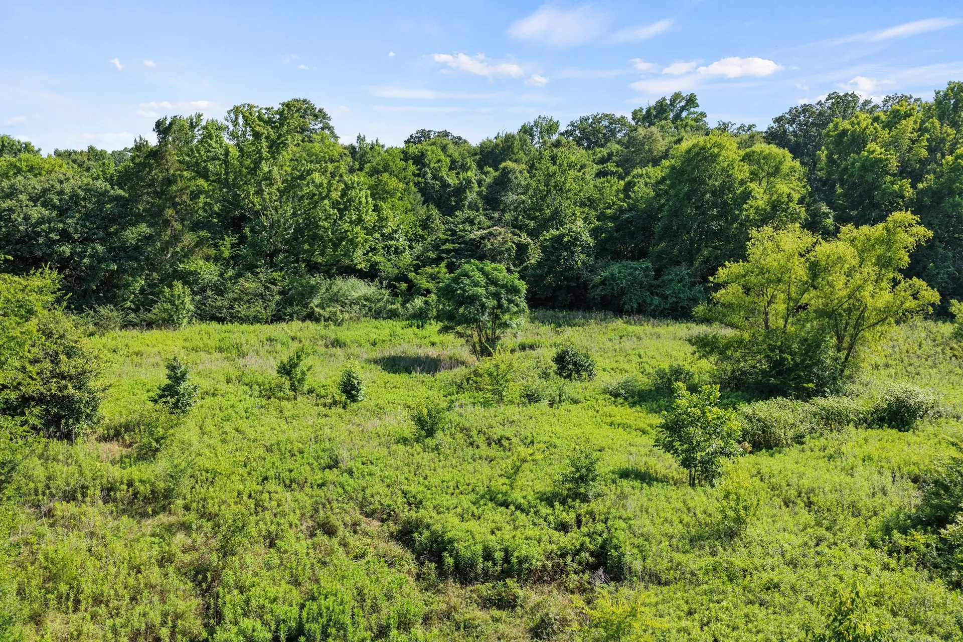 Unimproved Land For Sale in Titus County , 574 FM 1735, Mt Pleasant, Texas 75455, 0, 0, Garage spaces, 0 Sqft, built in 0, Price $249,900, mls#21309034, Real Estate Agent in Mt Pleasant, Homes For Sale in Titus county, Homes For Sale in Mt Pleasant, Realtor in Mt Pleasant Texas, Real Estate Brokerage Independent Realty Texas, Luminita Cordes Realtor