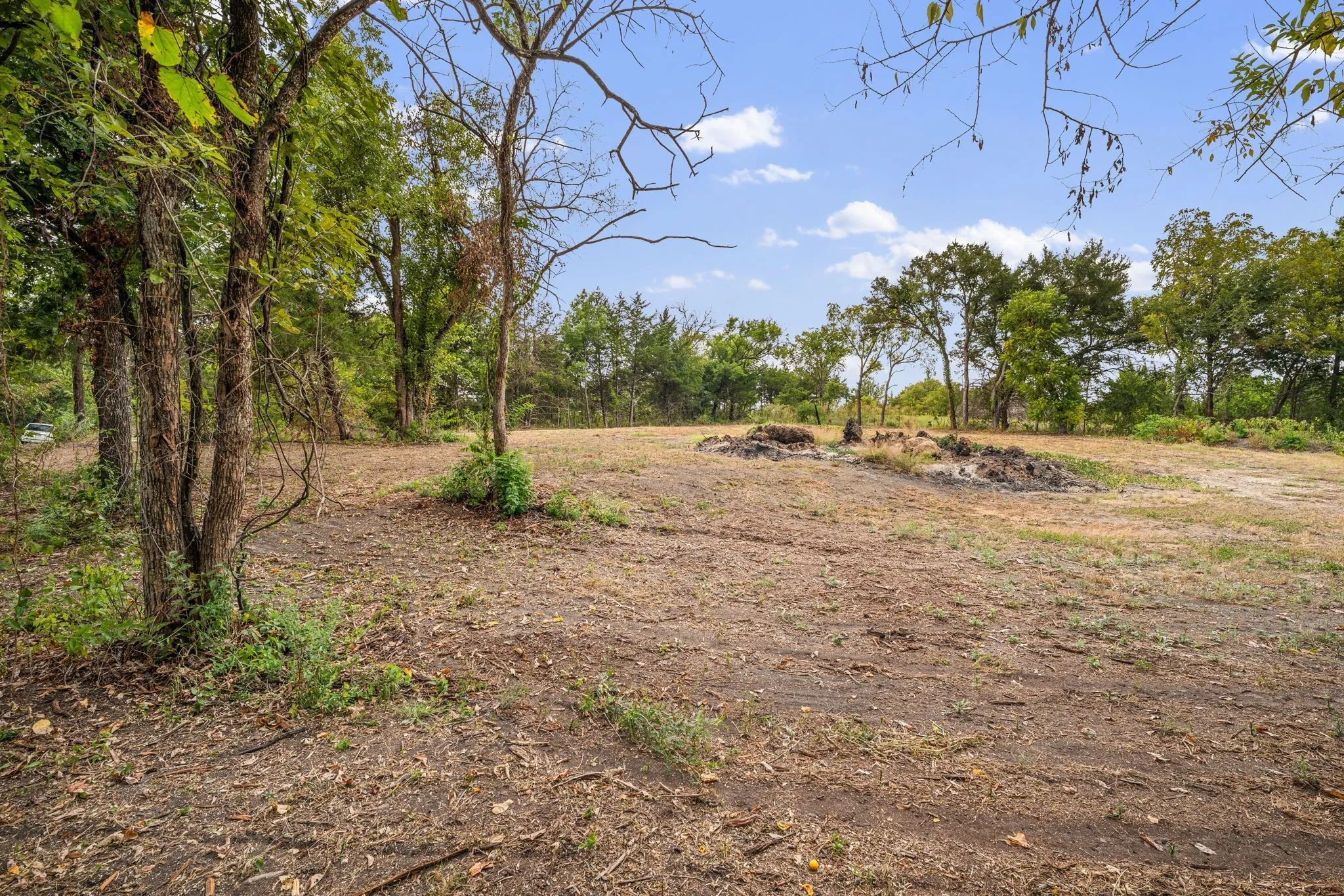 Unimproved Land For Sale in Grayson County , TBD Burke Road, Gunter, Texas 75058, 0, 0, Garage spaces, 0 Sqft, built in 0, mls#21308916, Real Estate Agent in Gunter, Homes For Sale in Grayson county, Homes For Sale in Gunter, Realtor in Gunter Texas, Real Estate Brokerage Independent Realty Texas, Luminita Cordes Realtor