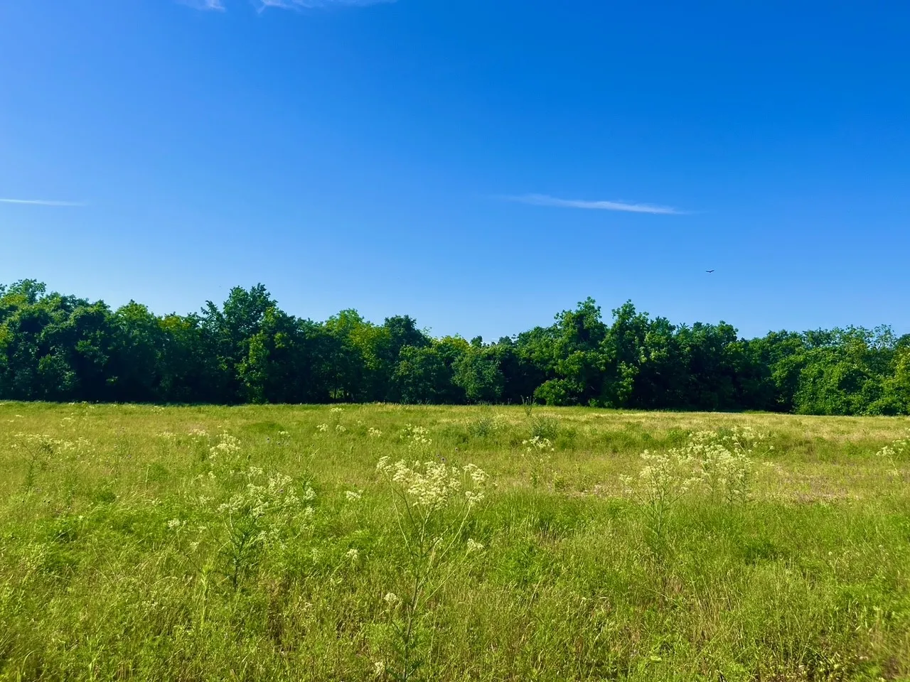 Unimproved Land For Sale in Parker County , Lot 65 Kilkenny Road, Poolville, Texas 76487, 0, 0, Garage spaces, 0 Sqft, built in 0, mls#21309097, Real Estate Agent in Poolville, Homes For Sale in Parker county, Homes For Sale in Poolville, Realtor in Poolville Texas, Real Estate Brokerage Independent Realty Texas, Luminita Cordes Realtor