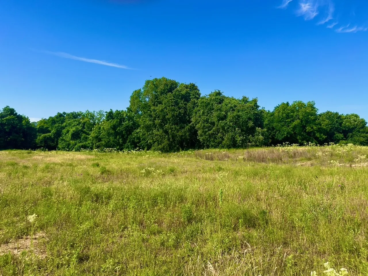 Unimproved Land For Sale in Parker County , Lot 65 Kilkenny Road, Poolville, Texas 76487, 0, 0, Garage spaces, 0 Sqft, built in 0, mls#21309097, Real Estate Agent in Poolville, Homes For Sale in Parker county, Homes For Sale in Poolville, Realtor in Poolville Texas, Real Estate Brokerage Independent Realty Texas, Luminita Cordes Realtor