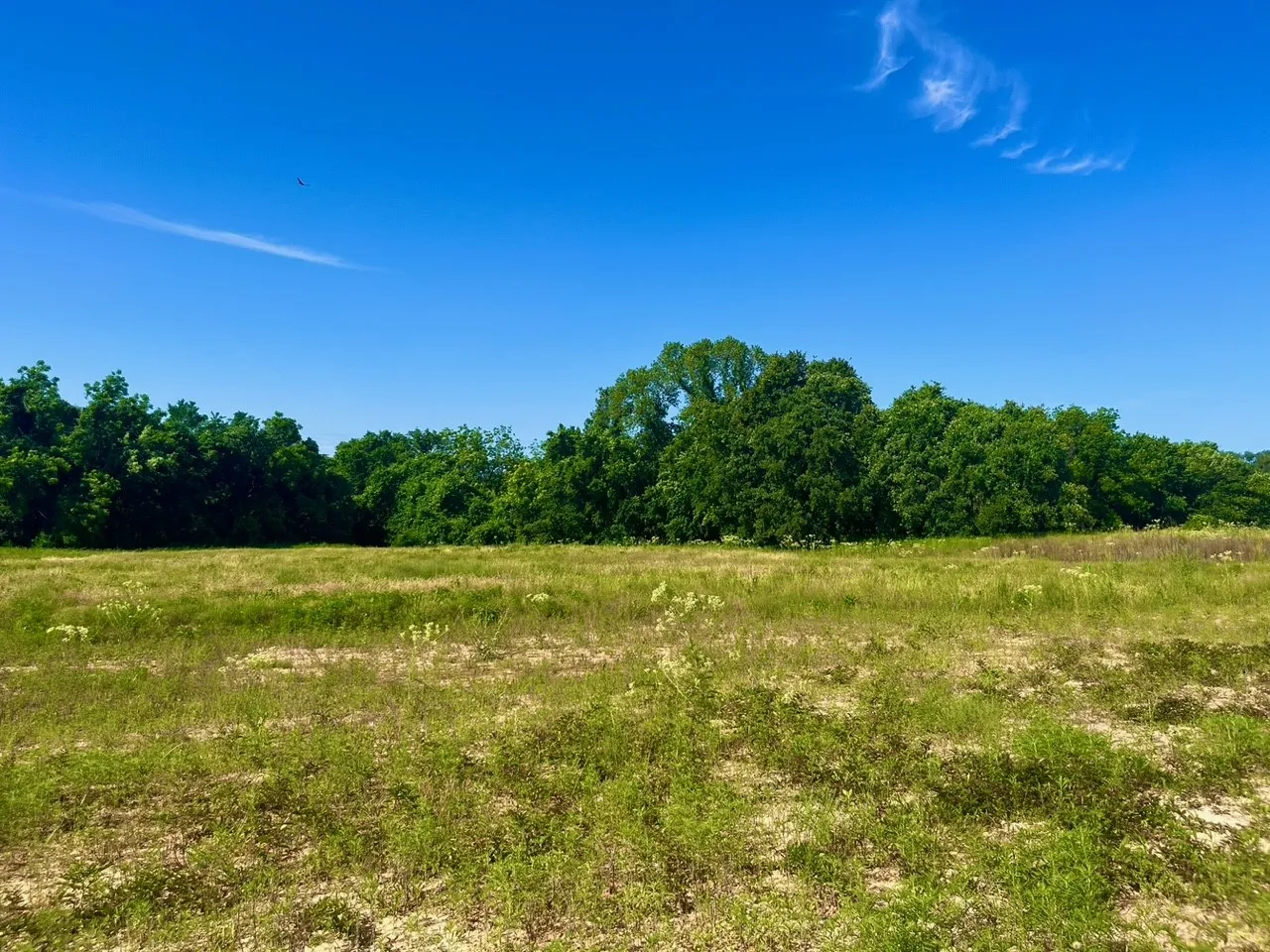 Unimproved Land For Sale in Parker County , Lot 65 Kilkenny Road, Poolville, Texas 76487, 0, 0, Garage spaces, 0 Sqft, built in 0, mls#21309097, Real Estate Agent in Poolville, Homes For Sale in Parker county, Homes For Sale in Poolville, Realtor in Poolville Texas, Real Estate Brokerage Independent Realty Texas, Luminita Cordes Realtor