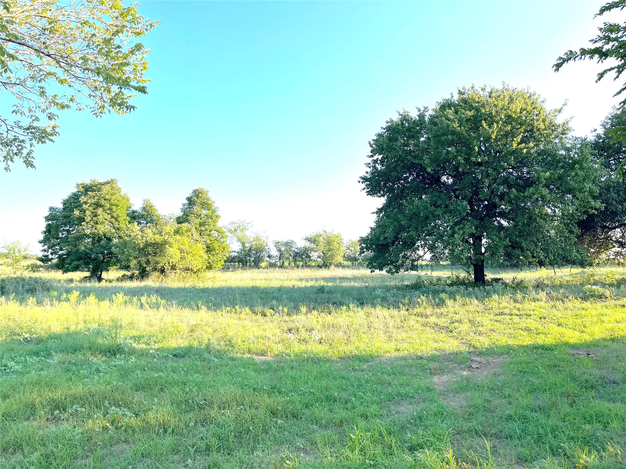 Unimproved Land For Sale in Parker County , Lot 62 Kilkenny Road, Poolville, Texas 76487, 0, 0, Garage spaces, 0 Sqft, built in 0, Price $79,900, mls#21309110, Real Estate Agent in Poolville, Homes For Sale in Parker county, Homes For Sale in Poolville, Realtor in Poolville Texas, Real Estate Brokerage Independent Realty Texas, Luminita Cordes Realtor