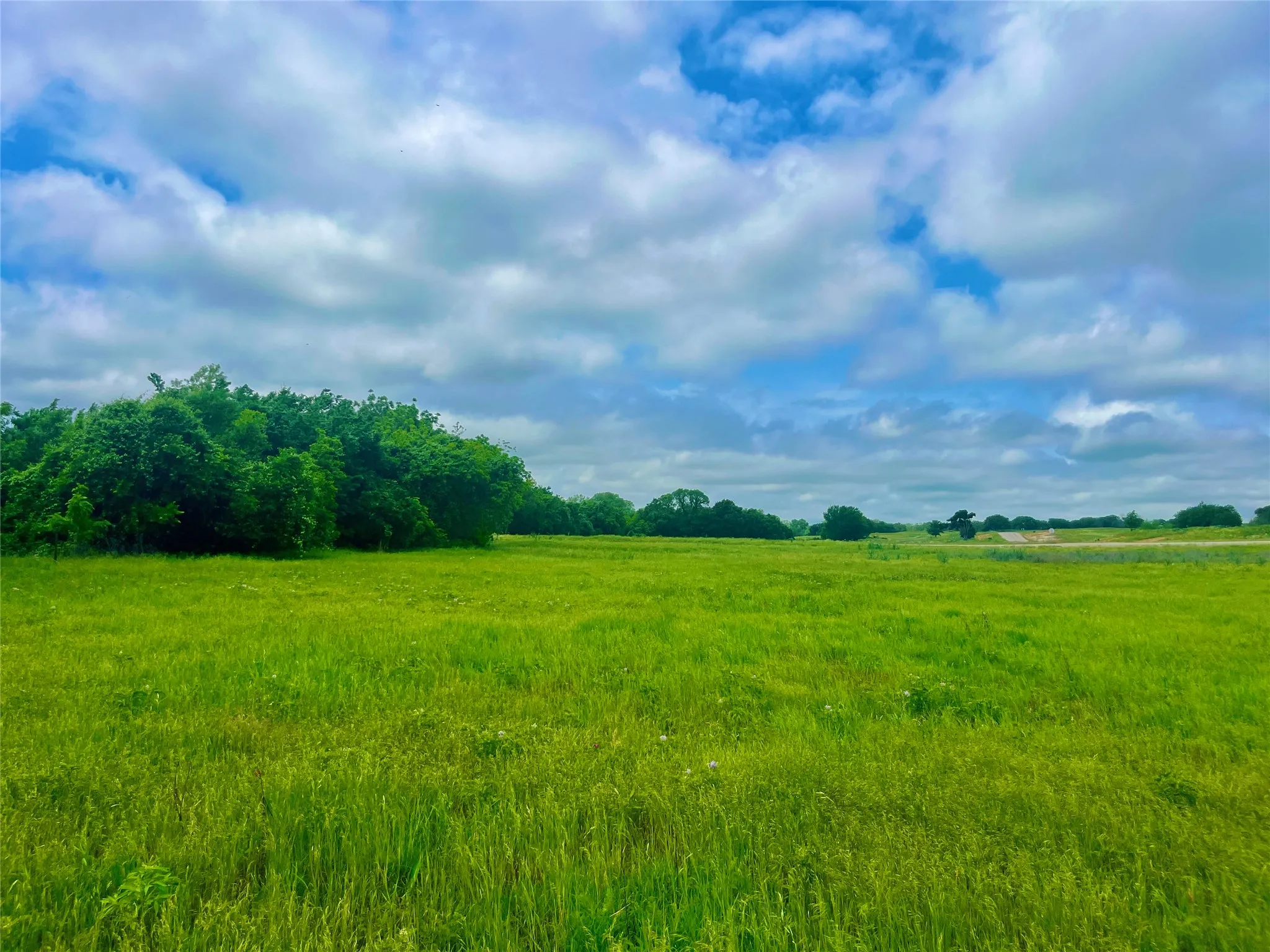 View of local wilderness featuring a rural view