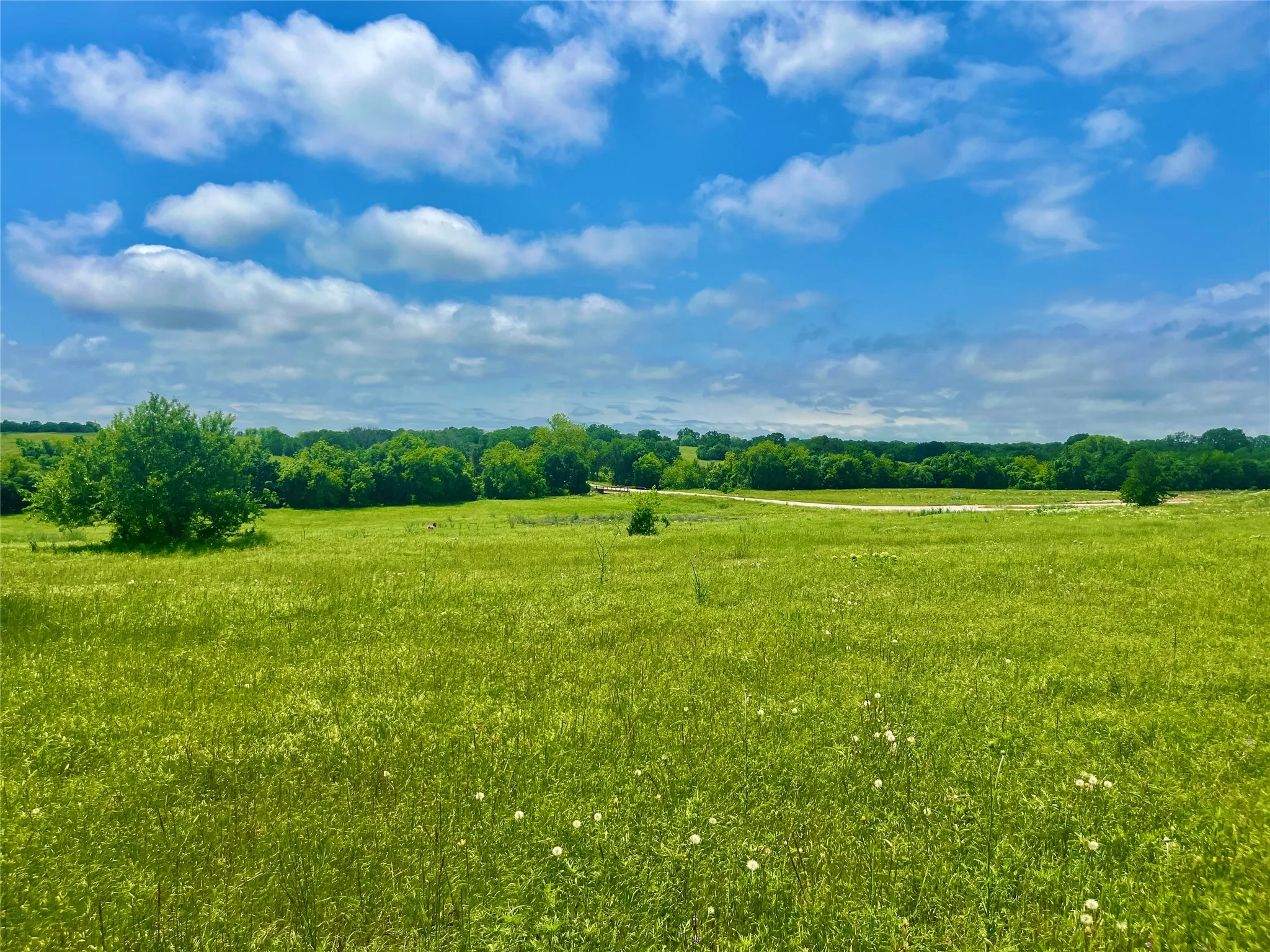 View of local wilderness featuring a rural view