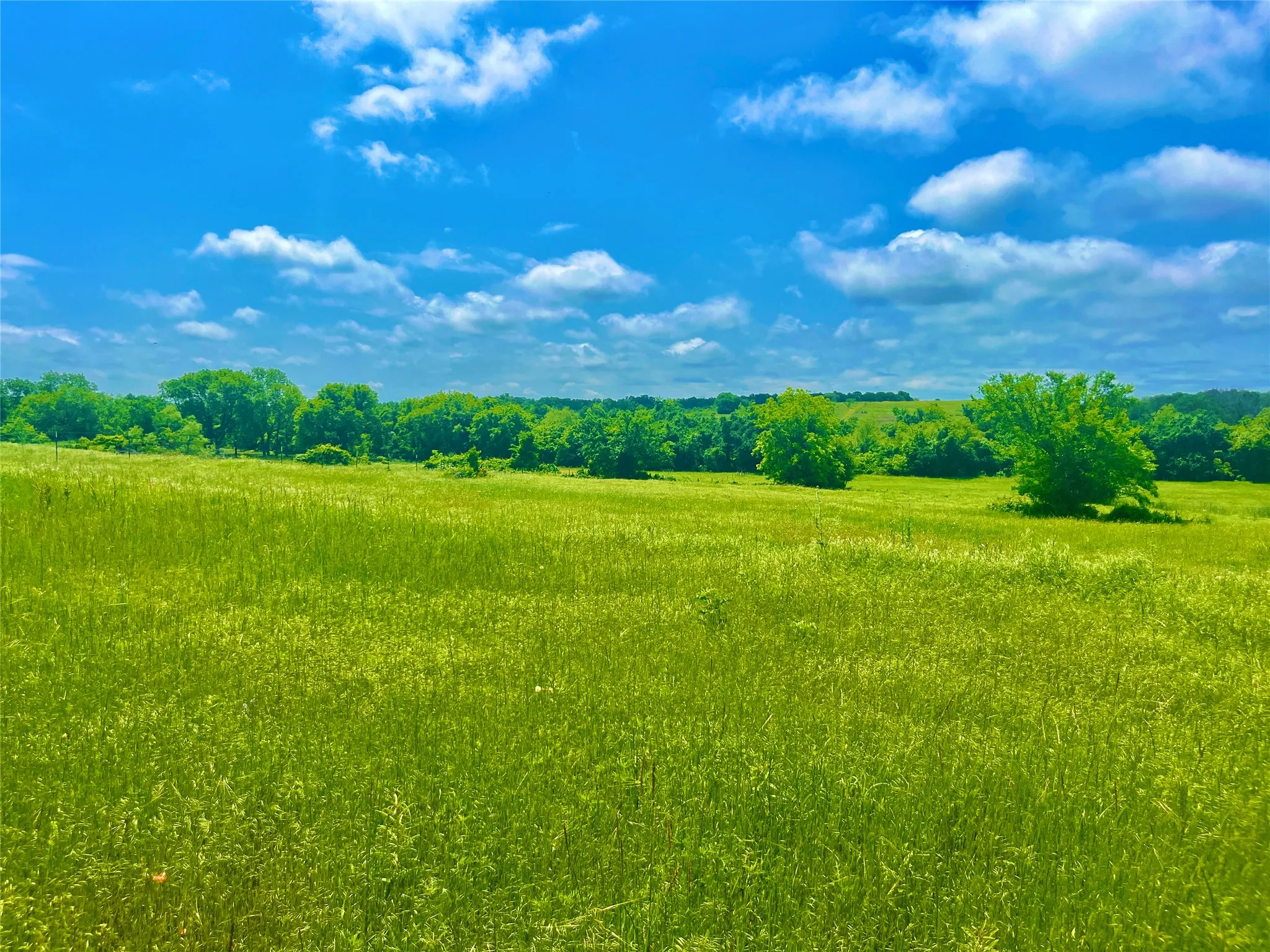 Unimproved Land For Sale in Parker County , Lot 3 Clare Rd, Poolville, Texas 76487, 0, 0, Garage spaces, 0 Sqft, built in 0, mls#21309133, Real Estate Agent in Poolville, Homes For Sale in Parker county, Homes For Sale in Poolville, Realtor in Poolville Texas, Real Estate Brokerage Independent Realty Texas, Luminita Cordes Realtor