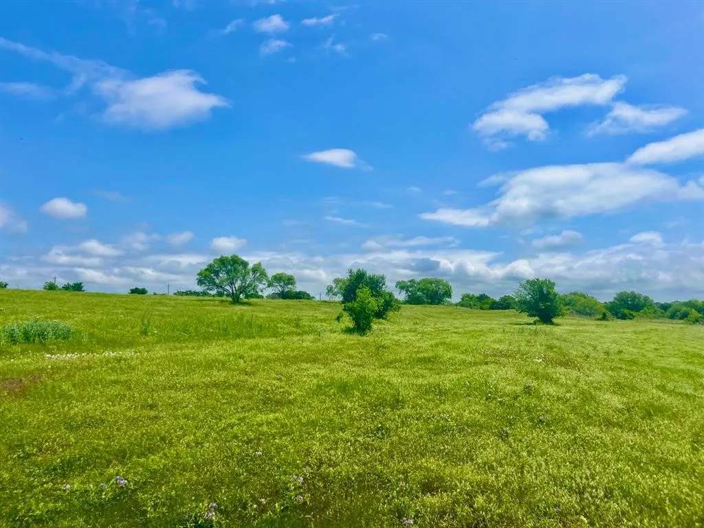 View of local wilderness featuring a rural view