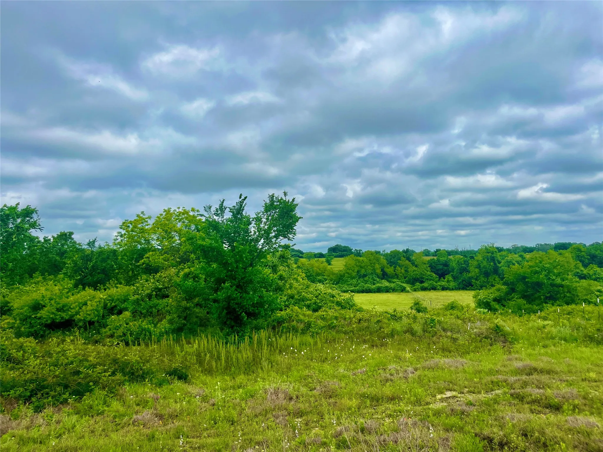 Unimproved Land For Sale in Parker County , Lot 8 Clare Rd, Poolville, Texas 76487, 0, 0, Garage spaces, 0 Sqft, built in 0, Price $79,900, mls#21309151, Real Estate Agent in Poolville, Homes For Sale in Parker county, Homes For Sale in Poolville, Realtor in Poolville Texas, Real Estate Brokerage Independent Realty Texas, Luminita Cordes Realtor