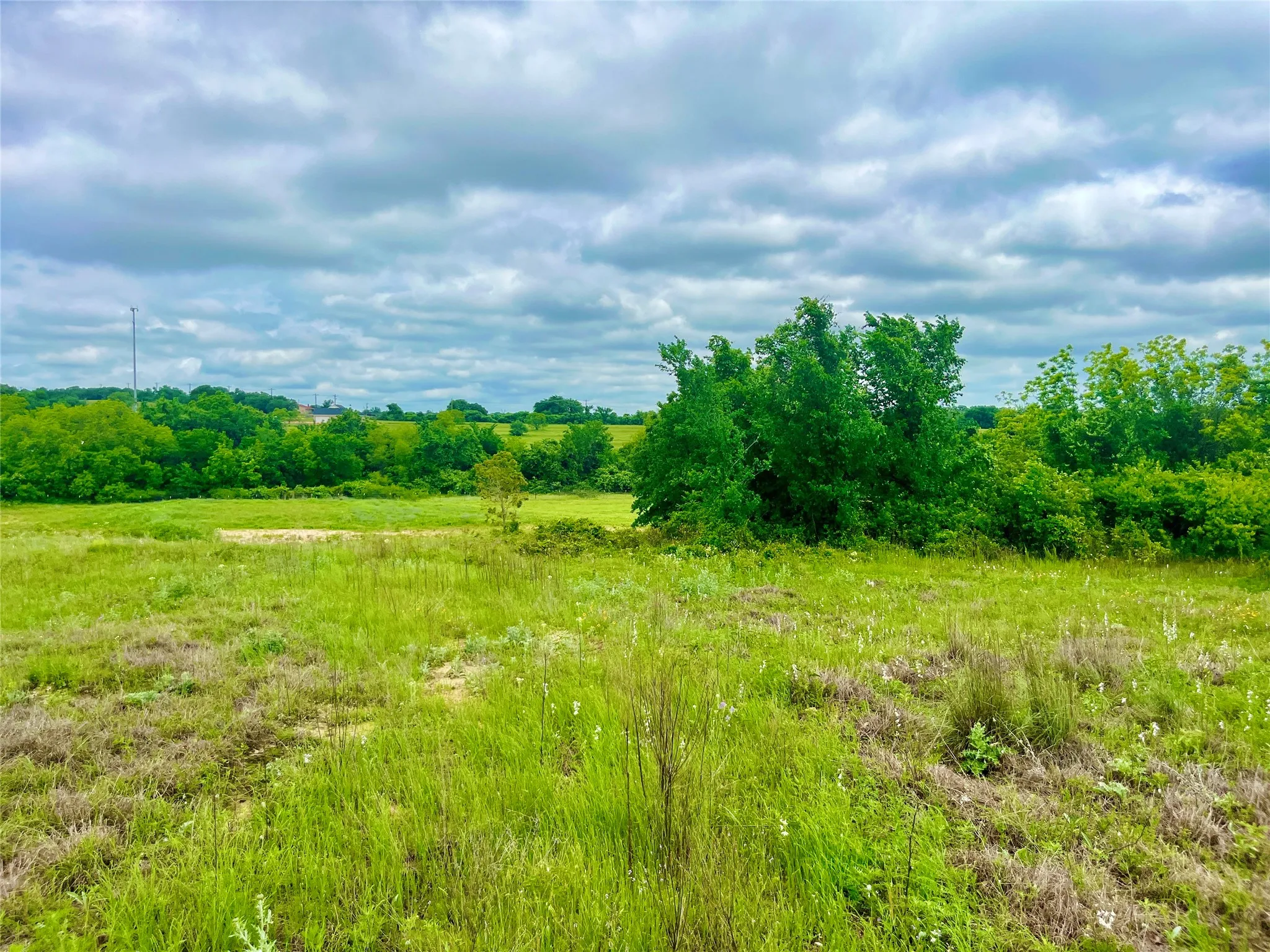View of nature
