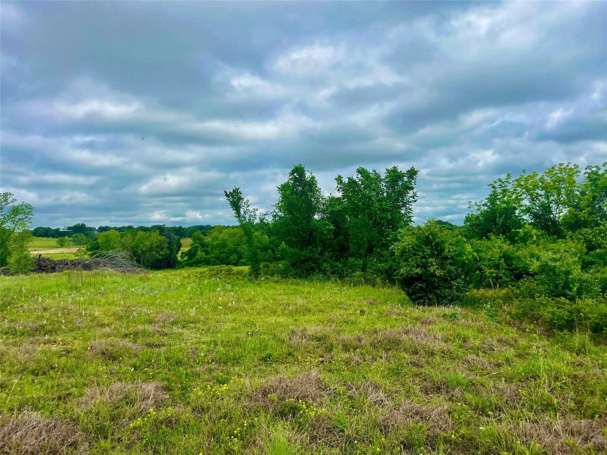 View of nature