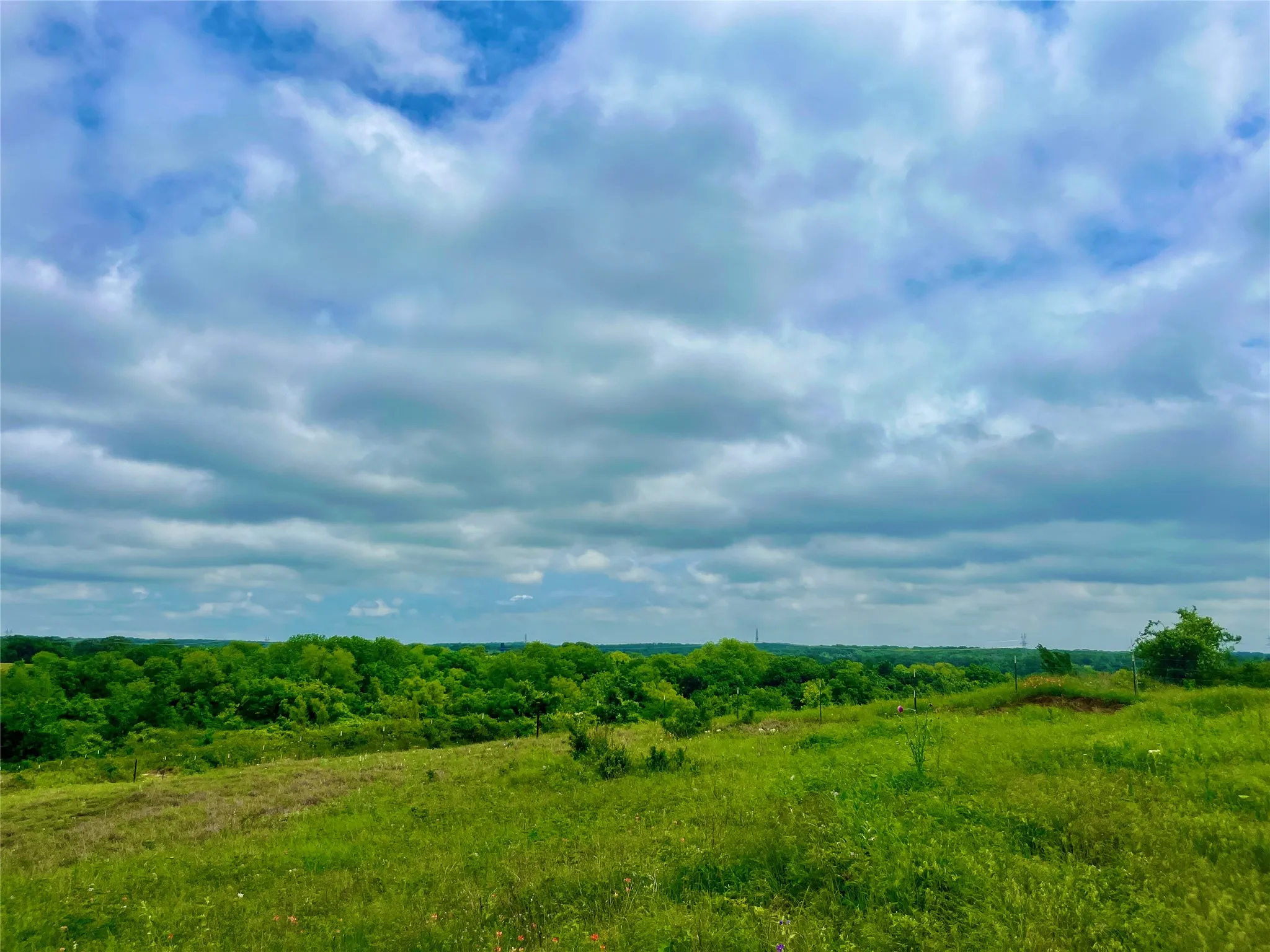Unimproved Land For Sale in Parker County , Lot 9 Clare Rd, Poolville, Texas 76487, 0, 0, Garage spaces, 0 Sqft, built in 0, Price $79,900, mls#21309157, Real Estate Agent in Poolville, Homes For Sale in Parker county, Homes For Sale in Poolville, Realtor in Poolville Texas, Real Estate Brokerage Independent Realty Texas, Luminita Cordes Realtor