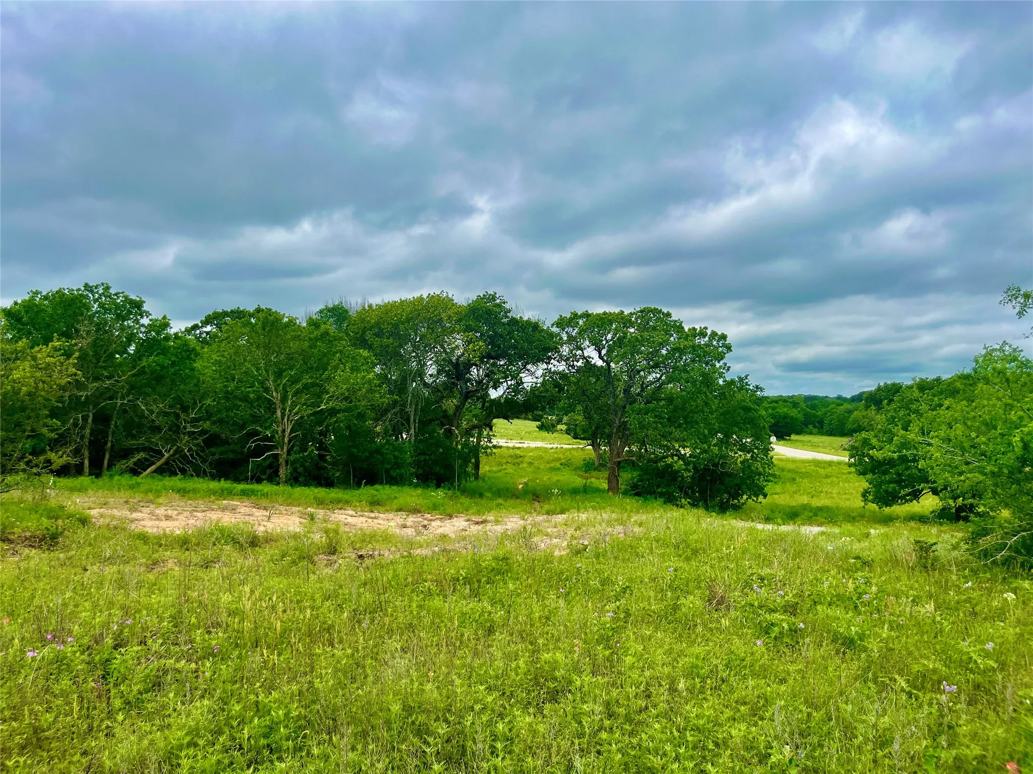 View of nature