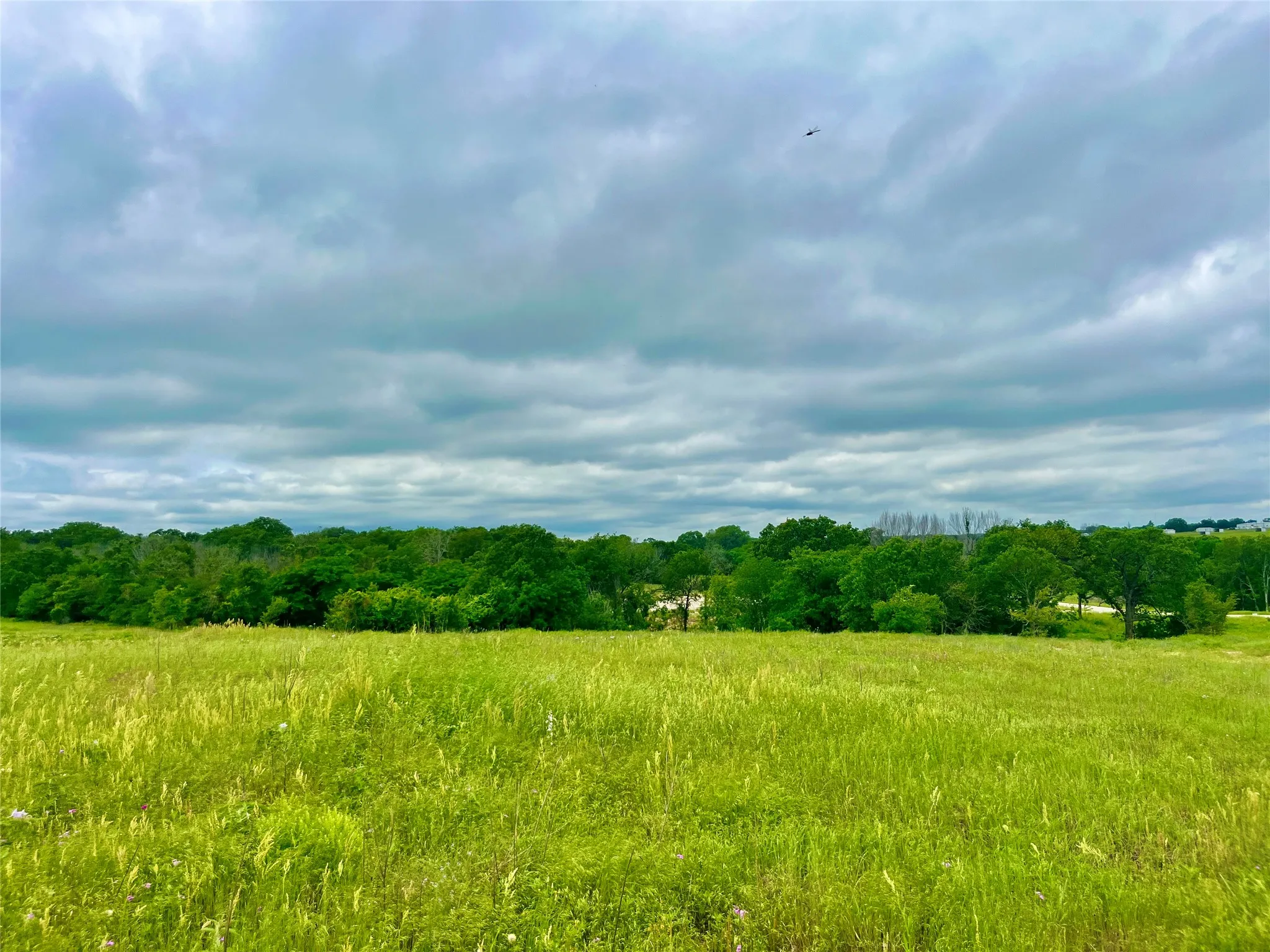 View of mother earth's splendor