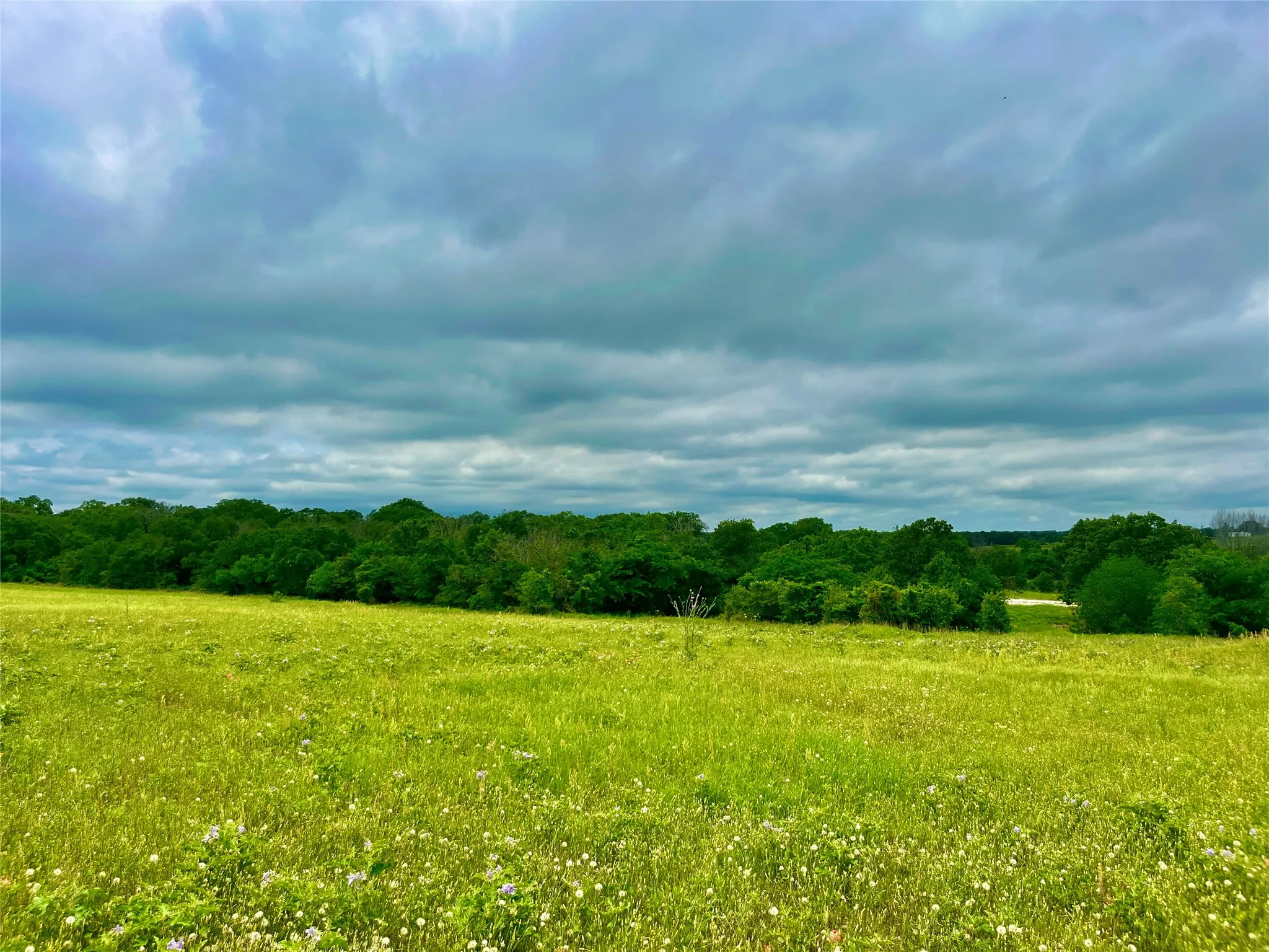 View of mother earth's splendor
