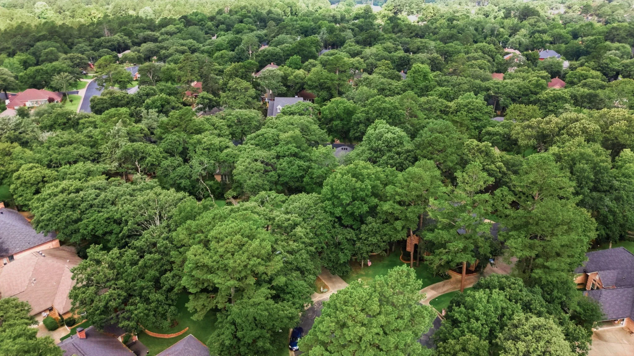 Single Family Residence For Sale in Smith County , 4117 Hollow Oak Circle, Tyler, Texas 75707, 4 Bedroom, 3 Bathroom, 2 Garage spaces, 2,639 Sqft, built in 1995, mls#21309178, Real Estate Agent in Tyler, Homes For Sale in Smith county, Homes For Sale in Tyler, Realtor in Tyler Texas, Real Estate Brokerage Independent Realty Texas, Luminita Cordes Realtor
