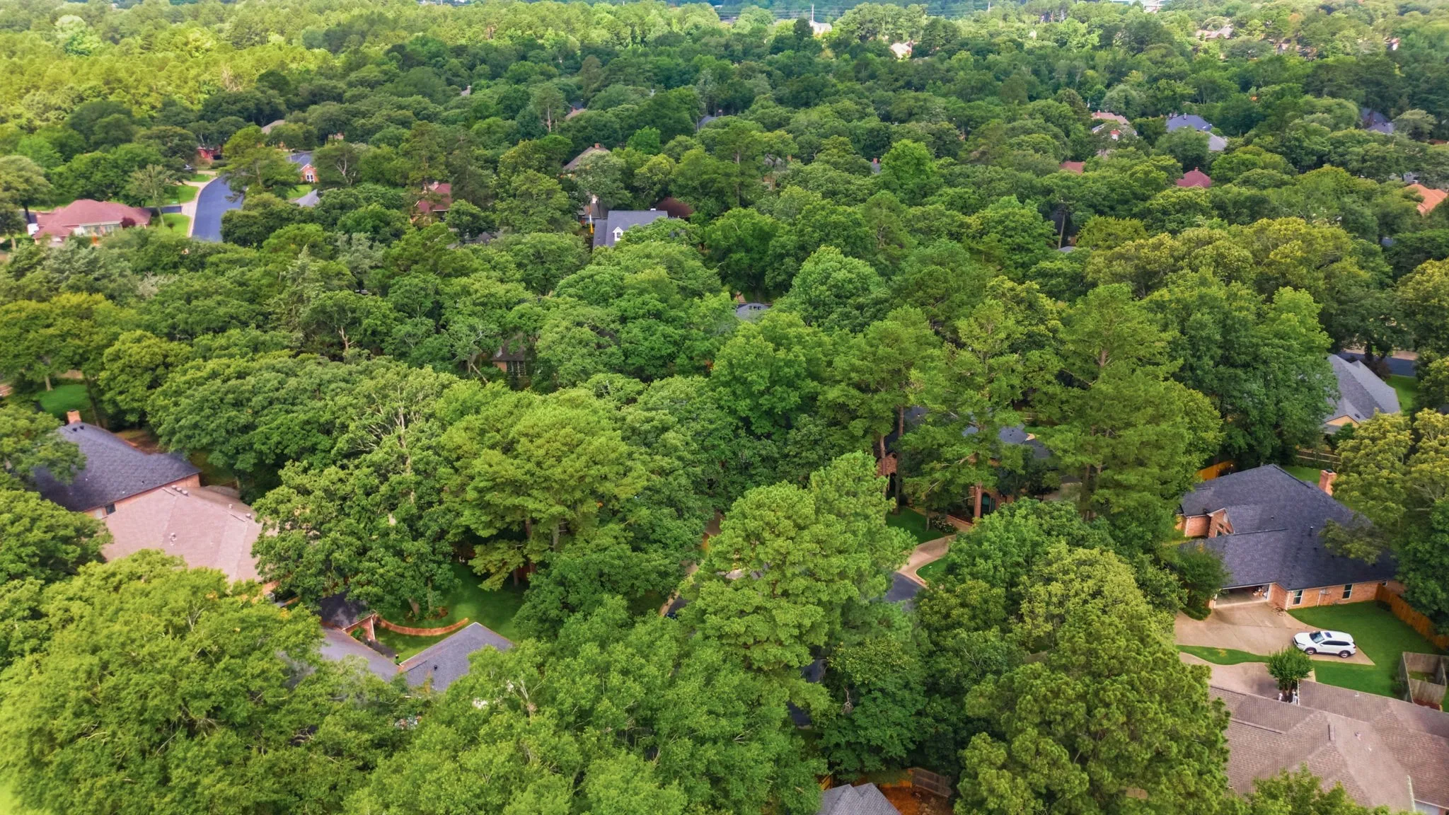 Single Family Residence For Sale in Smith County , 4117 Hollow Oak Circle, Tyler, Texas 75707, 4 Bedroom, 3 Bathroom, 2 Garage spaces, 2,639 Sqft, built in 1995, mls#21309178, Real Estate Agent in Tyler, Homes For Sale in Smith county, Homes For Sale in Tyler, Realtor in Tyler Texas, Real Estate Brokerage Independent Realty Texas, Luminita Cordes Realtor