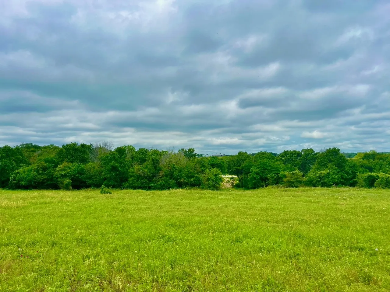 Unimproved Land For Sale in Parker County , Lot 11 Clare Rd, Poolville, Texas 76487, 0, 0, Garage spaces, 0 Sqft, built in 0, Price $79,900, mls#21309179, Real Estate Agent in Poolville, Homes For Sale in Parker county, Homes For Sale in Poolville, Realtor in Poolville Texas, Real Estate Brokerage Independent Realty Texas, Luminita Cordes Realtor