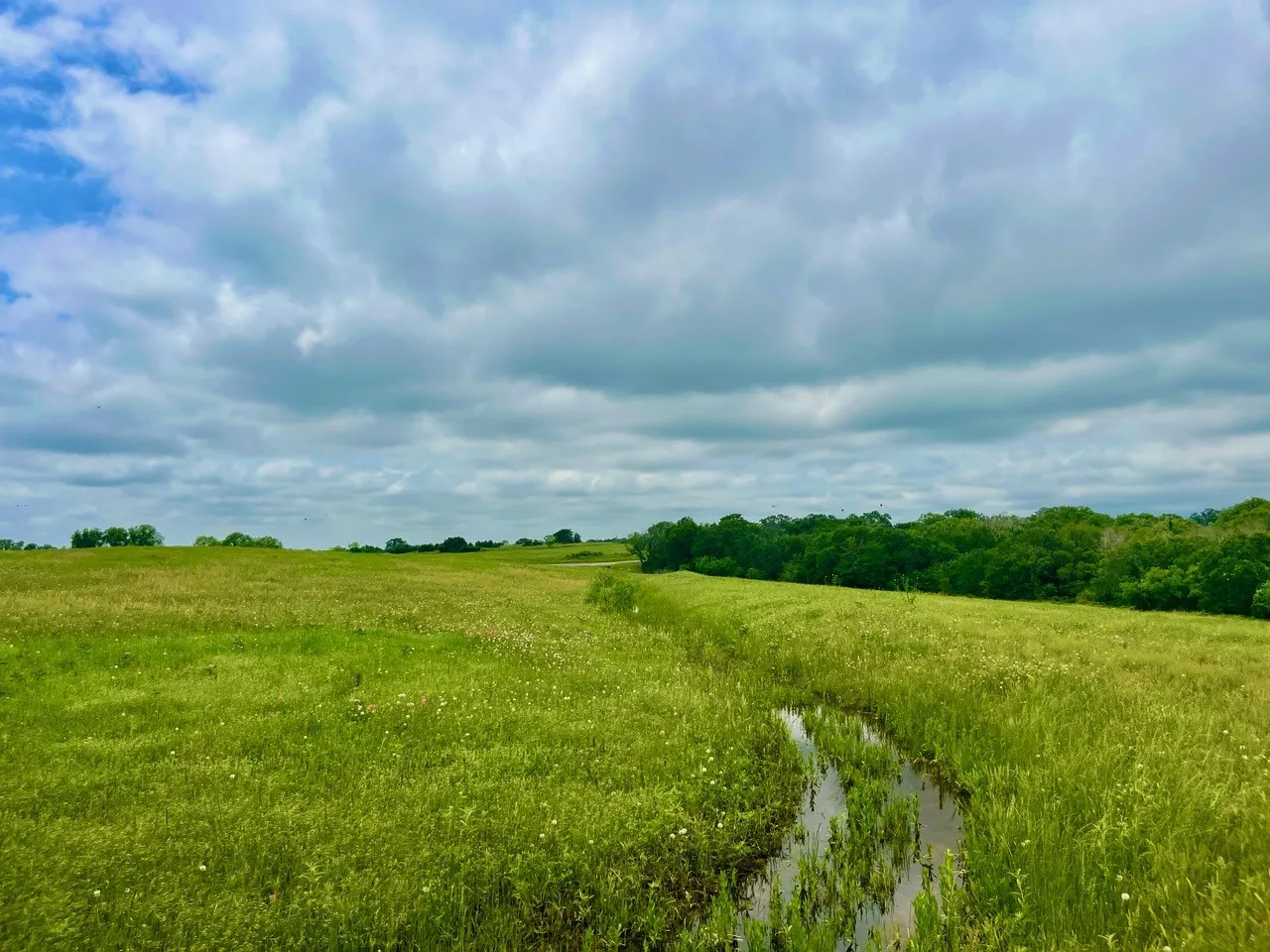 View of nature featuring a rural view