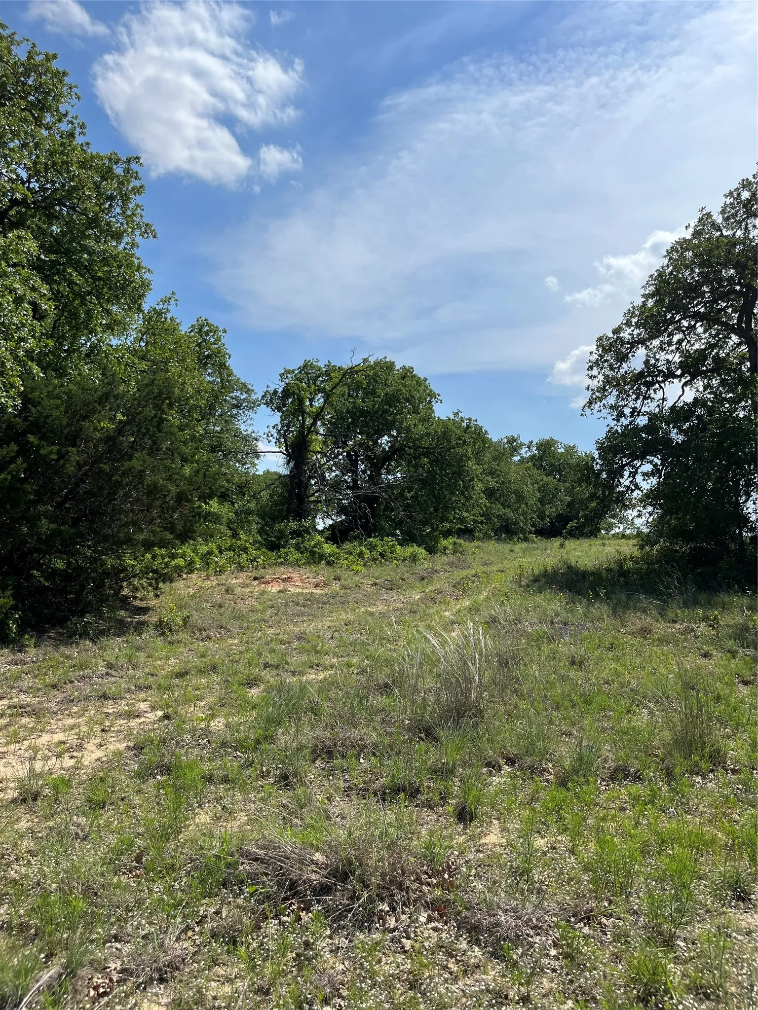 Unimproved Land For Sale in Parker County , Lot 12 Clare Road, Poolville, Texas 76487, 0, 0, Garage spaces, 0 Sqft, built in 0, mls#21309185, Real Estate Agent in Poolville, Homes For Sale in Parker county, Homes For Sale in Poolville, Realtor in Poolville Texas, Real Estate Brokerage Independent Realty Texas, Luminita Cordes Realtor