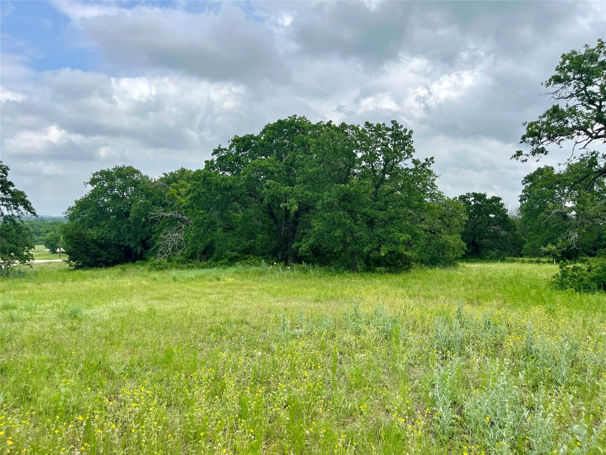 View of nature