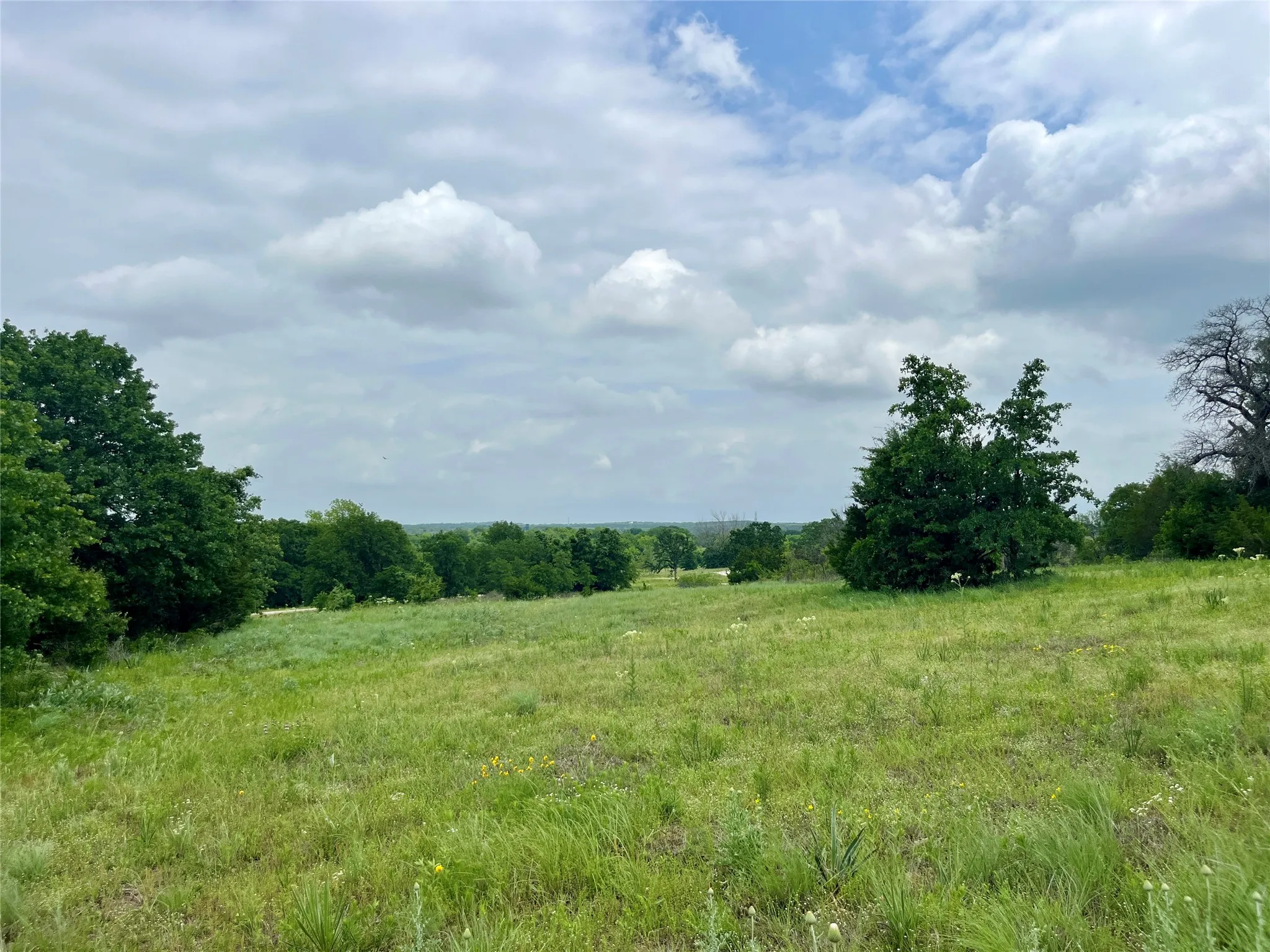 Unimproved Land For Sale in Parker County , Lot 13 Arlow Rd, Poolville, Texas 76487, 0, 0, Garage spaces, 0 Sqft, built in 0, Price $94,900, mls#21309195, Real Estate Agent in Poolville, Homes For Sale in Parker county, Homes For Sale in Poolville, Realtor in Poolville Texas, Real Estate Brokerage Independent Realty Texas, Luminita Cordes Realtor