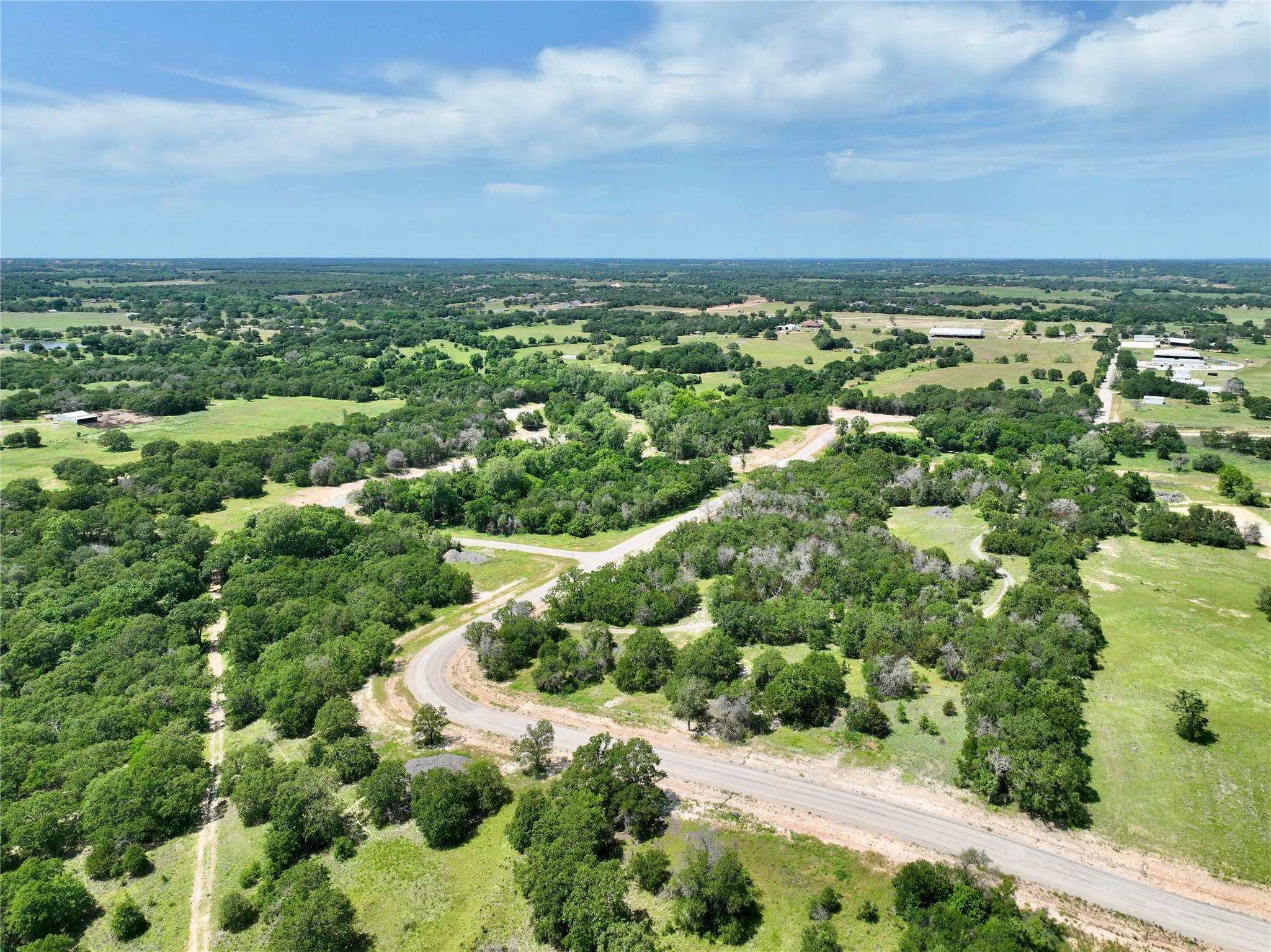 View of bird's eye view