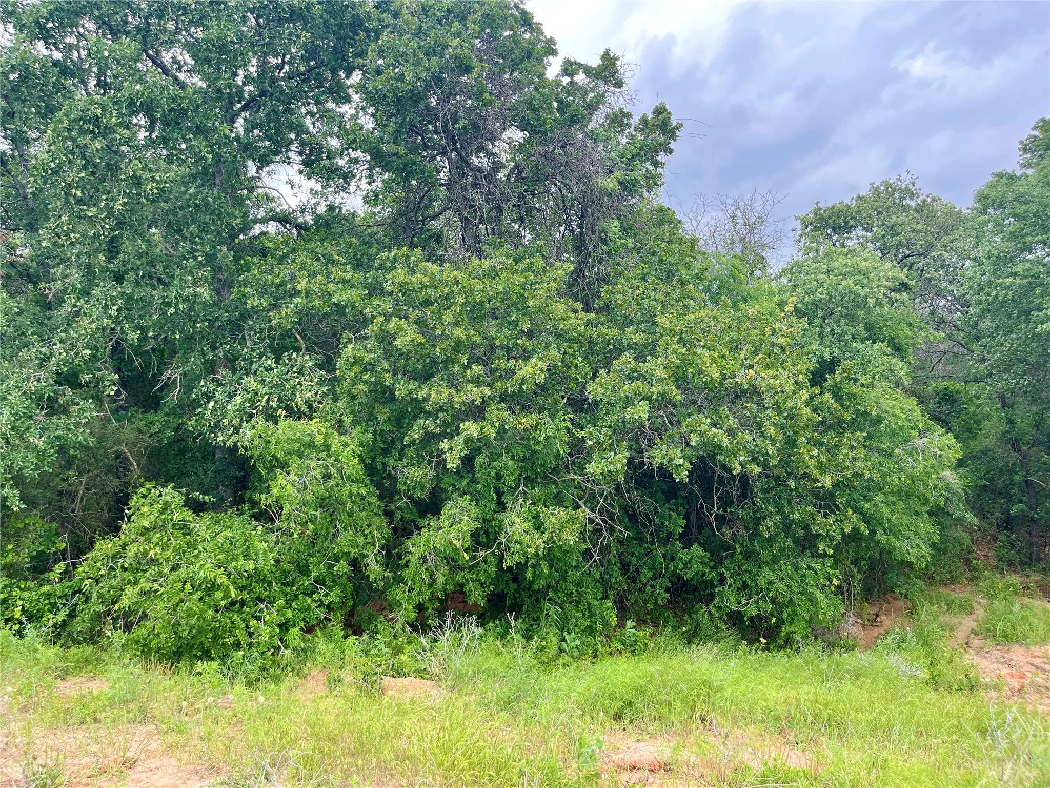 Unimproved Land For Sale in Parker County , Lot 18 Kilkenny, Poolville, Texas 76487, 0, 0, Garage spaces, 0 Sqft, built in 0, Price $79,900, mls#21309204, Real Estate Agent in Poolville, Homes For Sale in Parker county, Homes For Sale in Poolville, Realtor in Poolville Texas, Real Estate Brokerage Independent Realty Texas, Luminita Cordes Realtor