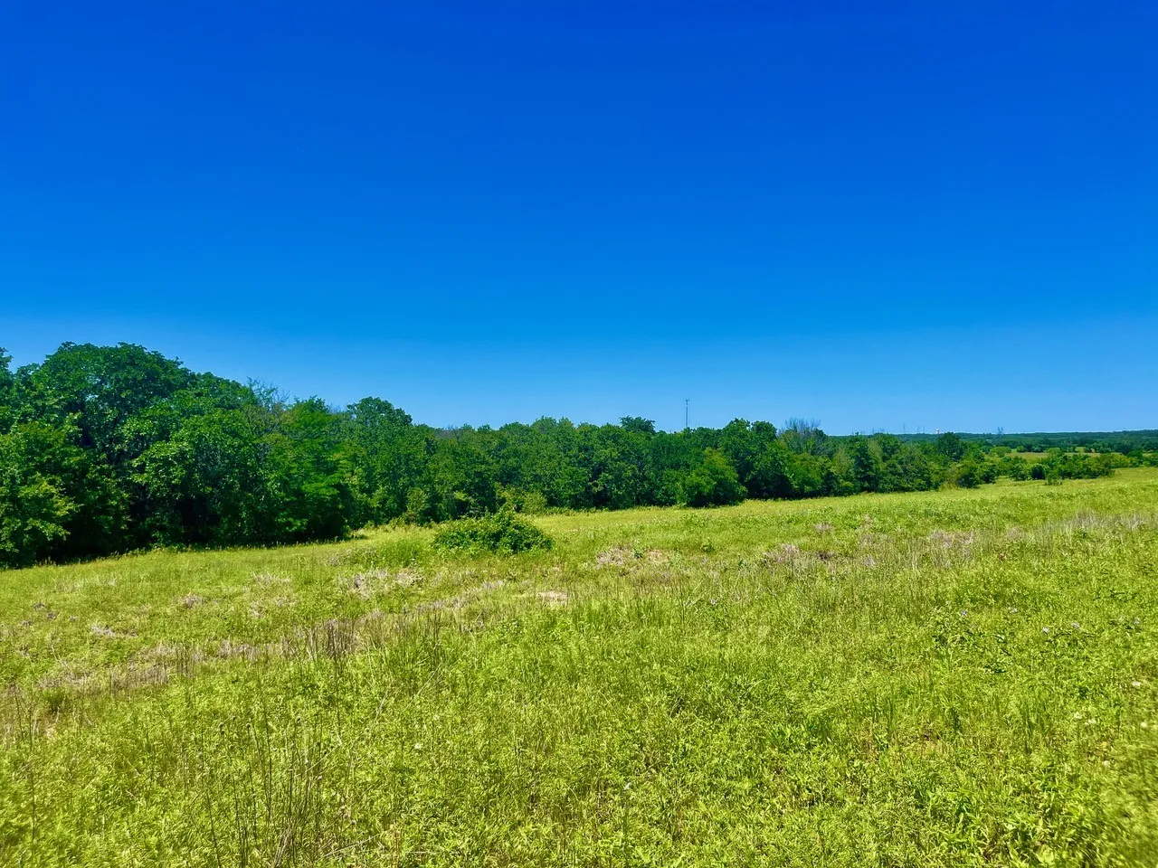 Unimproved Land For Sale in Parker County , Lot 19 Kilkenny Rd, Poolville, Texas 76487, 0, 0, Garage spaces, 0 Sqft, built in 0, mls#21309211, Real Estate Agent in Poolville, Homes For Sale in Parker county, Homes For Sale in Poolville, Realtor in Poolville Texas, Real Estate Brokerage Independent Realty Texas, Luminita Cordes Realtor